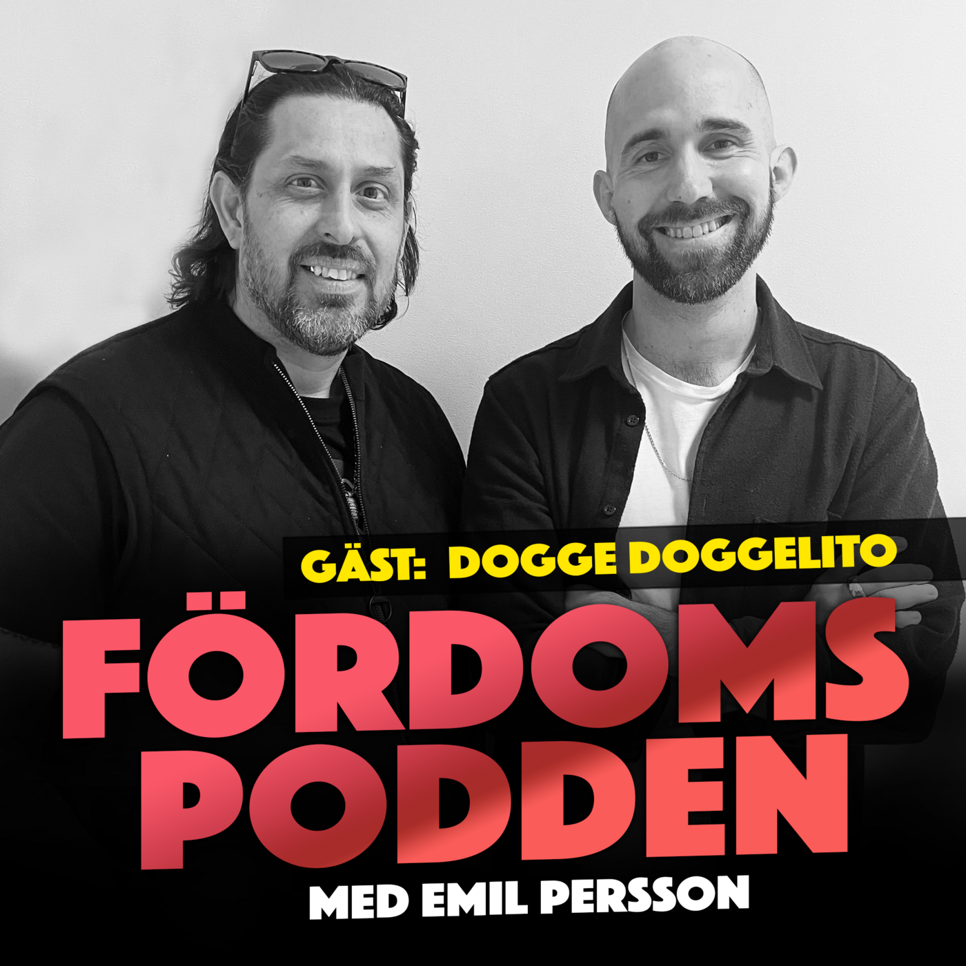 #169 Har Dogge Doggelito nyligen bett att få skriva ut något på en kompis skrivare?