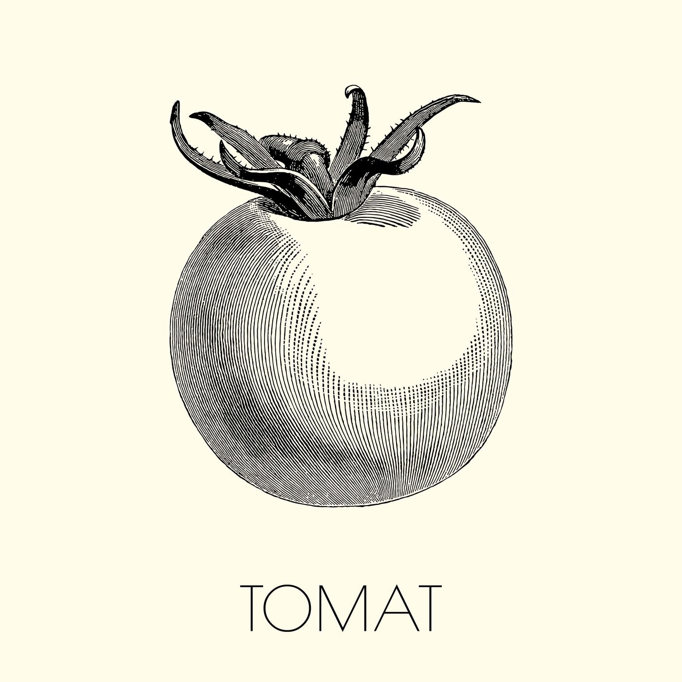 1. Tomat