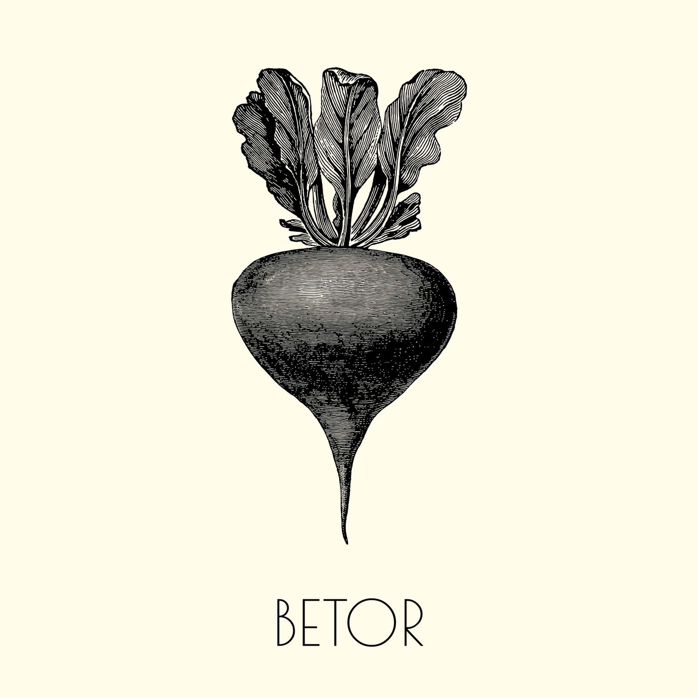 5. Betor