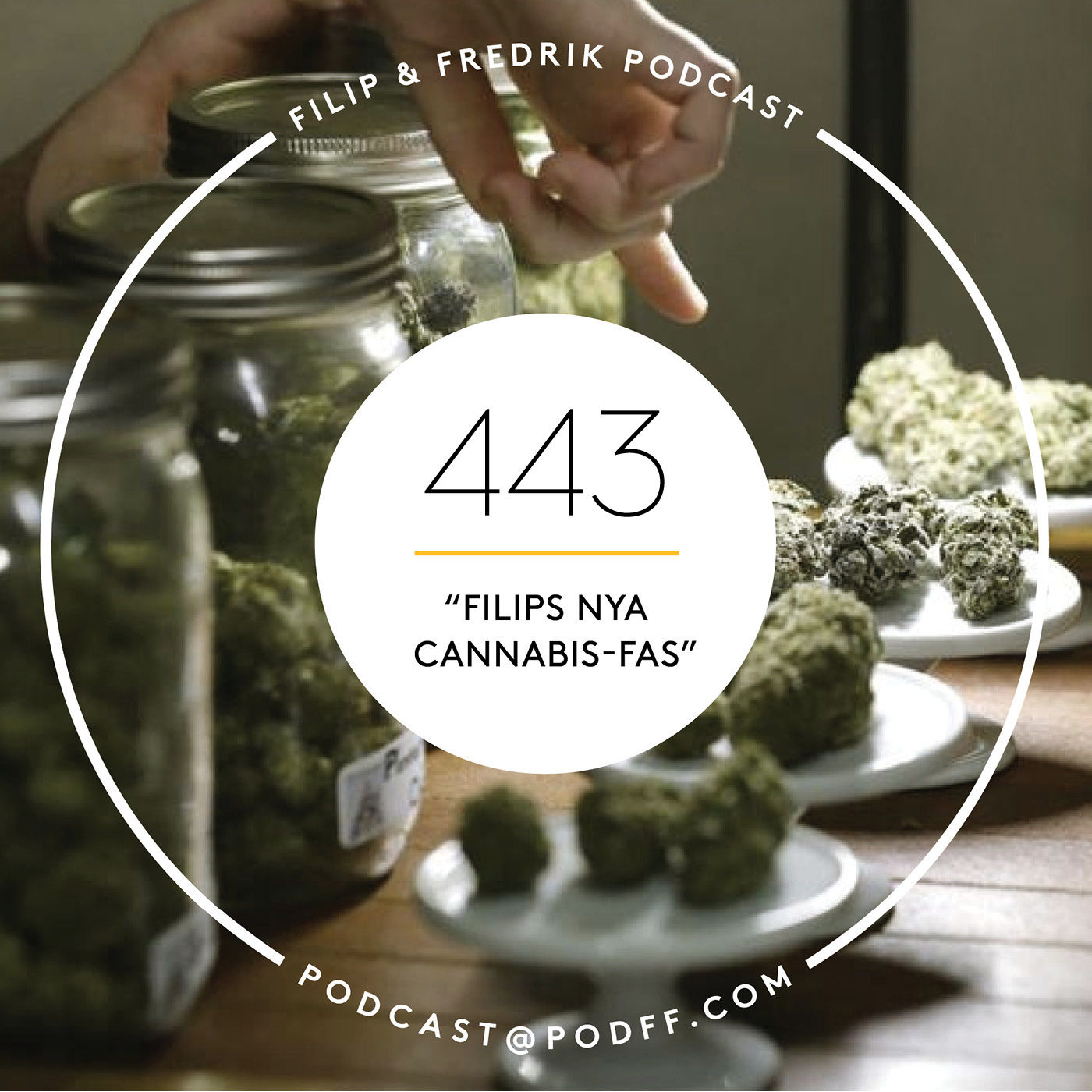 443. "Filips nya cannabis-fas"