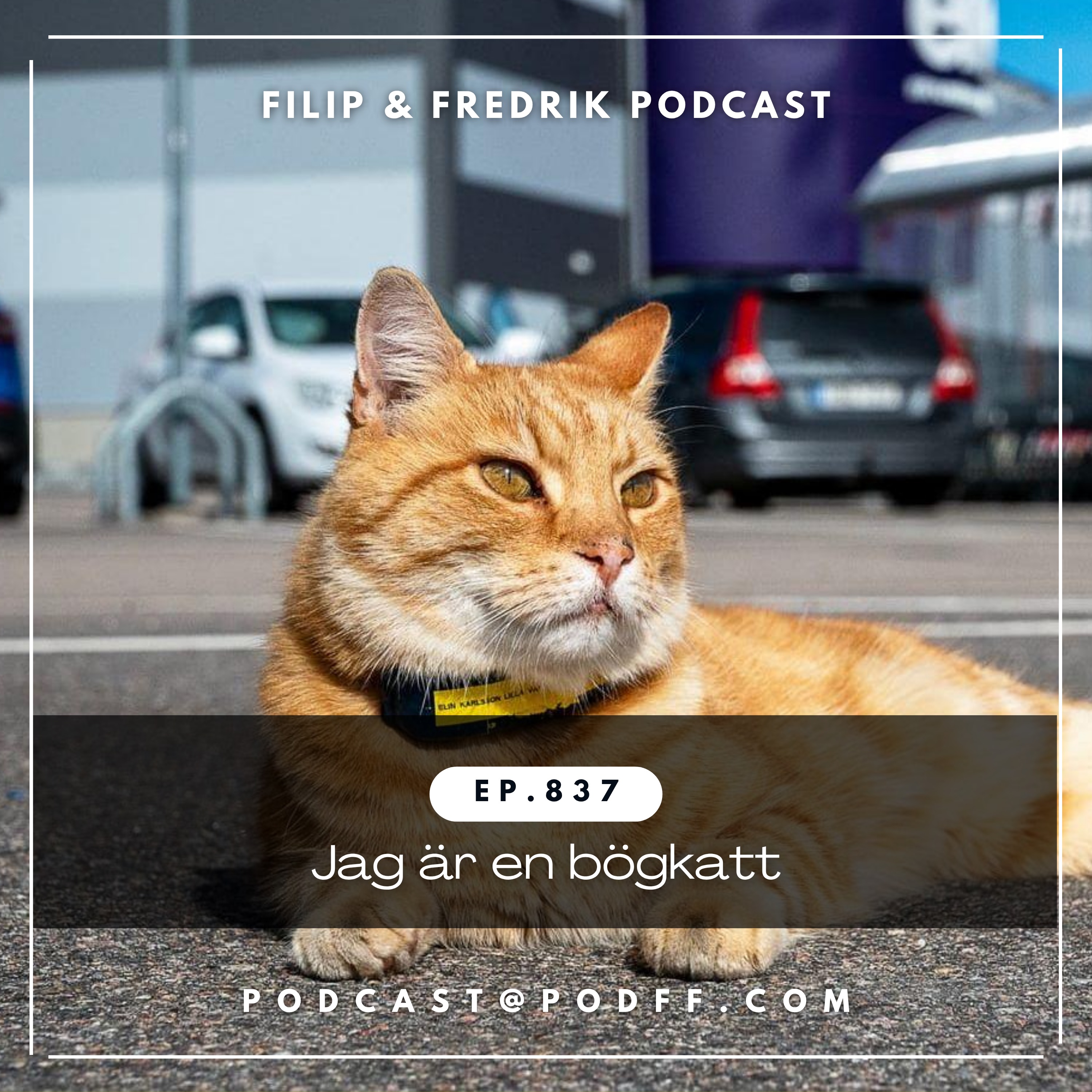 837. Jag är en bögkatt episode artwork