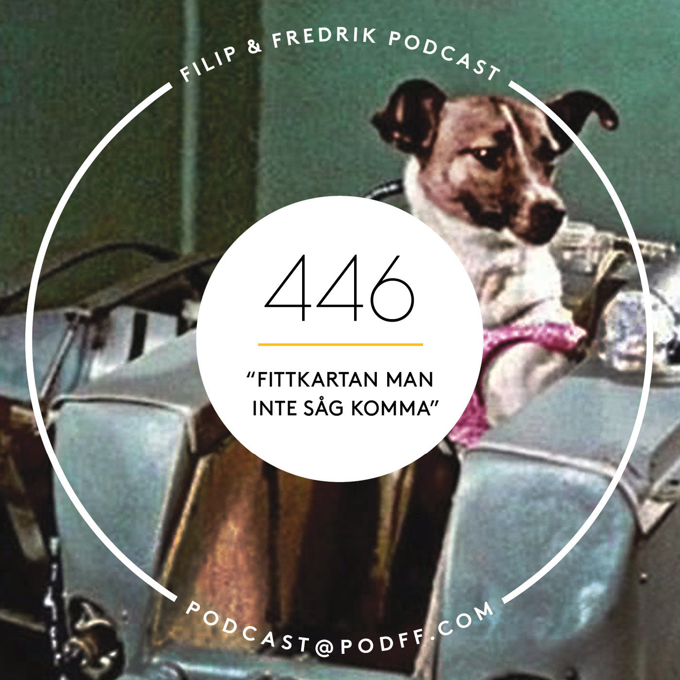 446. ”Fittkartan man inte såg komma”