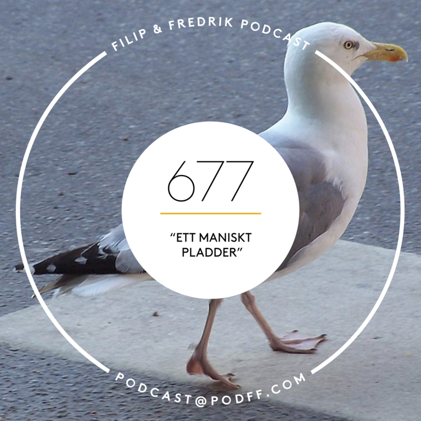 677. ”Ett maniskt pladder”