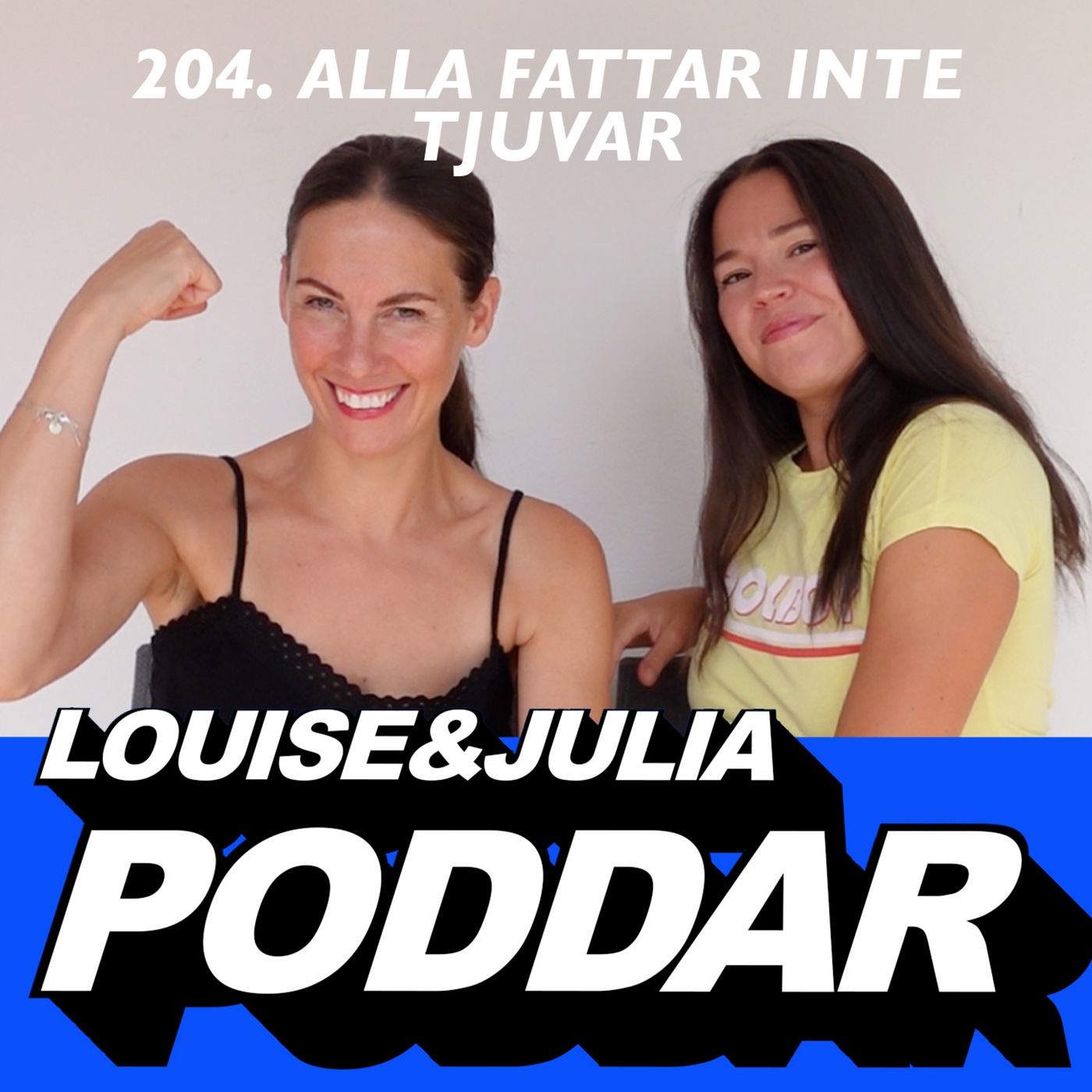 204. Alla fattar inte tjuvar