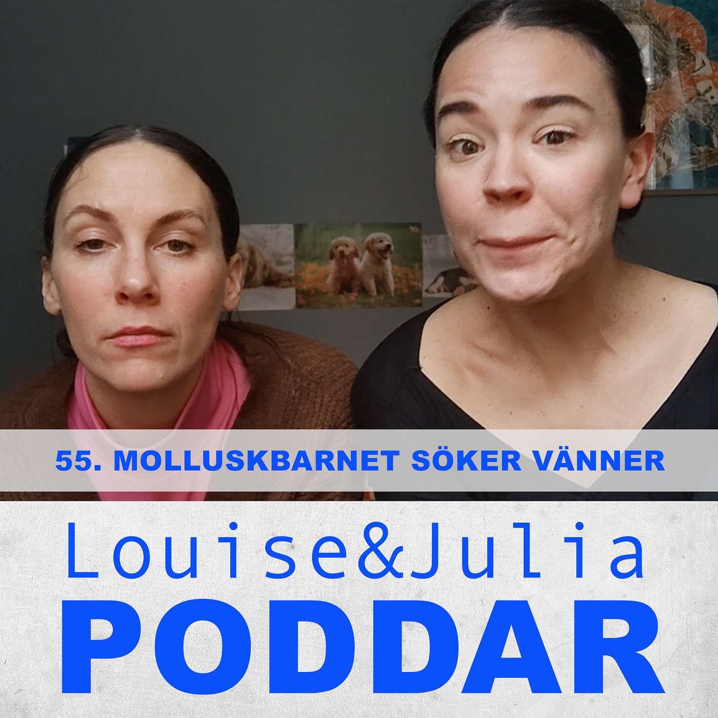 55. Molluskbarnet söker vänner