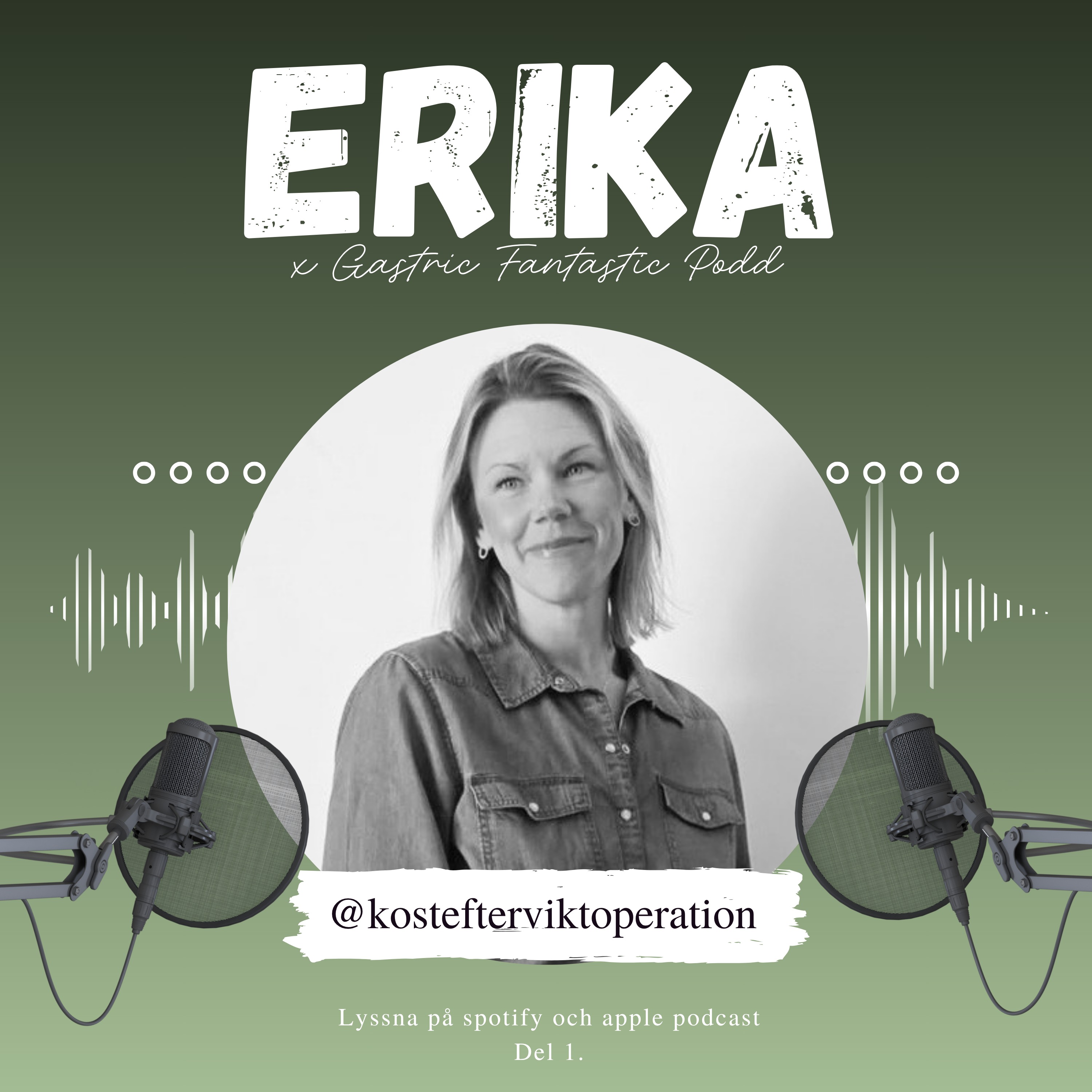 Erika x Gastric Fantastic Podd episode artwork