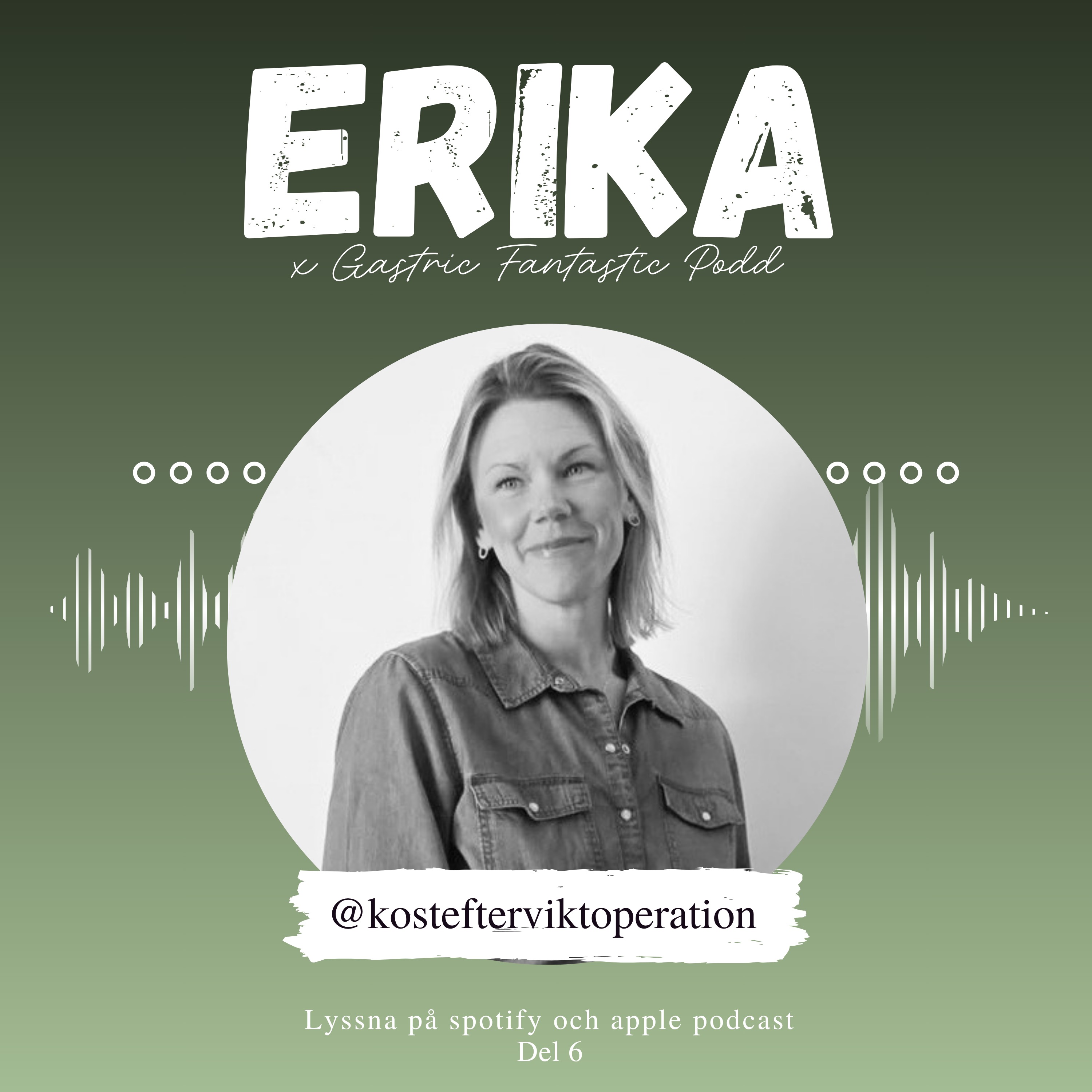 Erika x Gastric Fantastic Podd Del 6 episode artwork