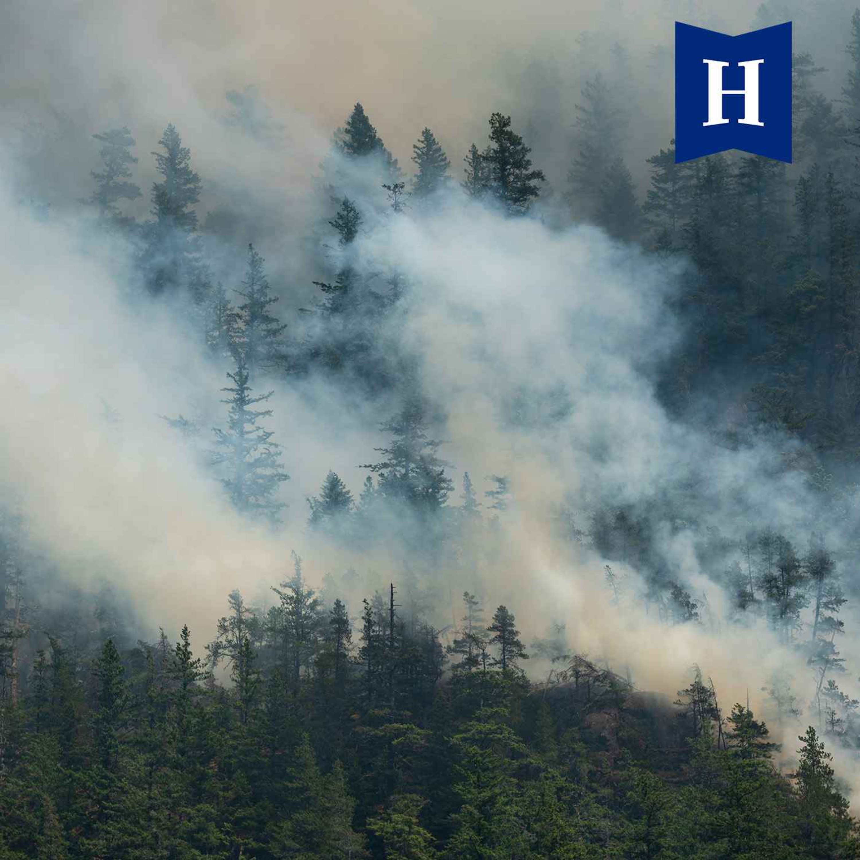 Why wildfires are reshaping Canadian climate politics episode artwork