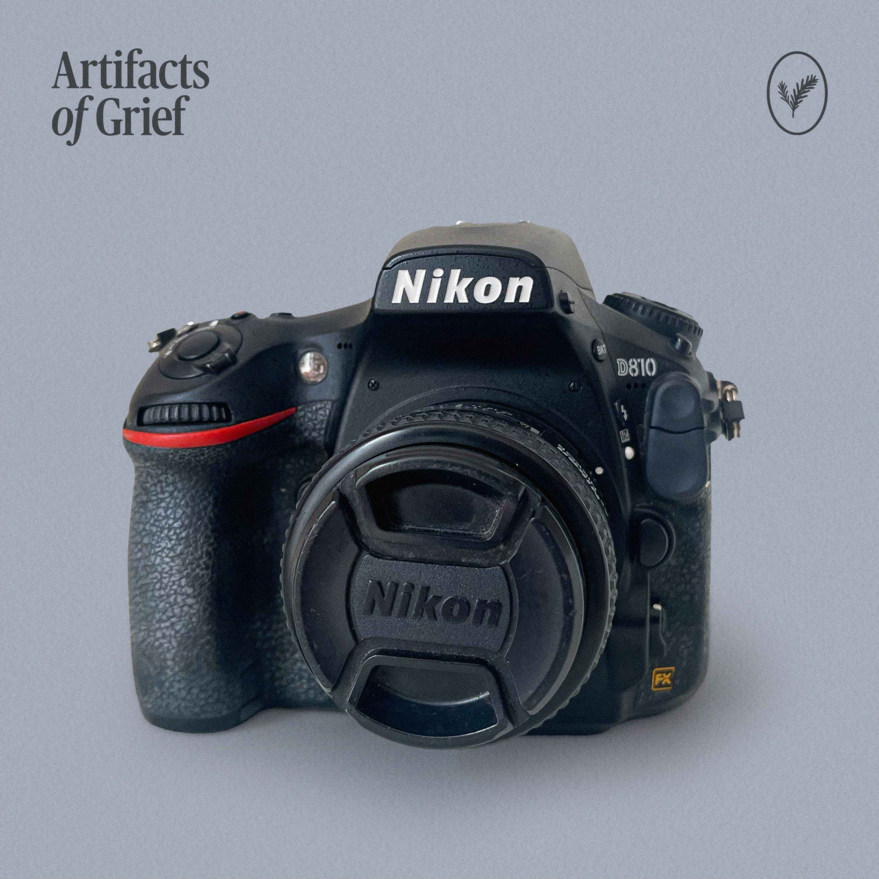 Photography As Proof Of Loss episode artwork