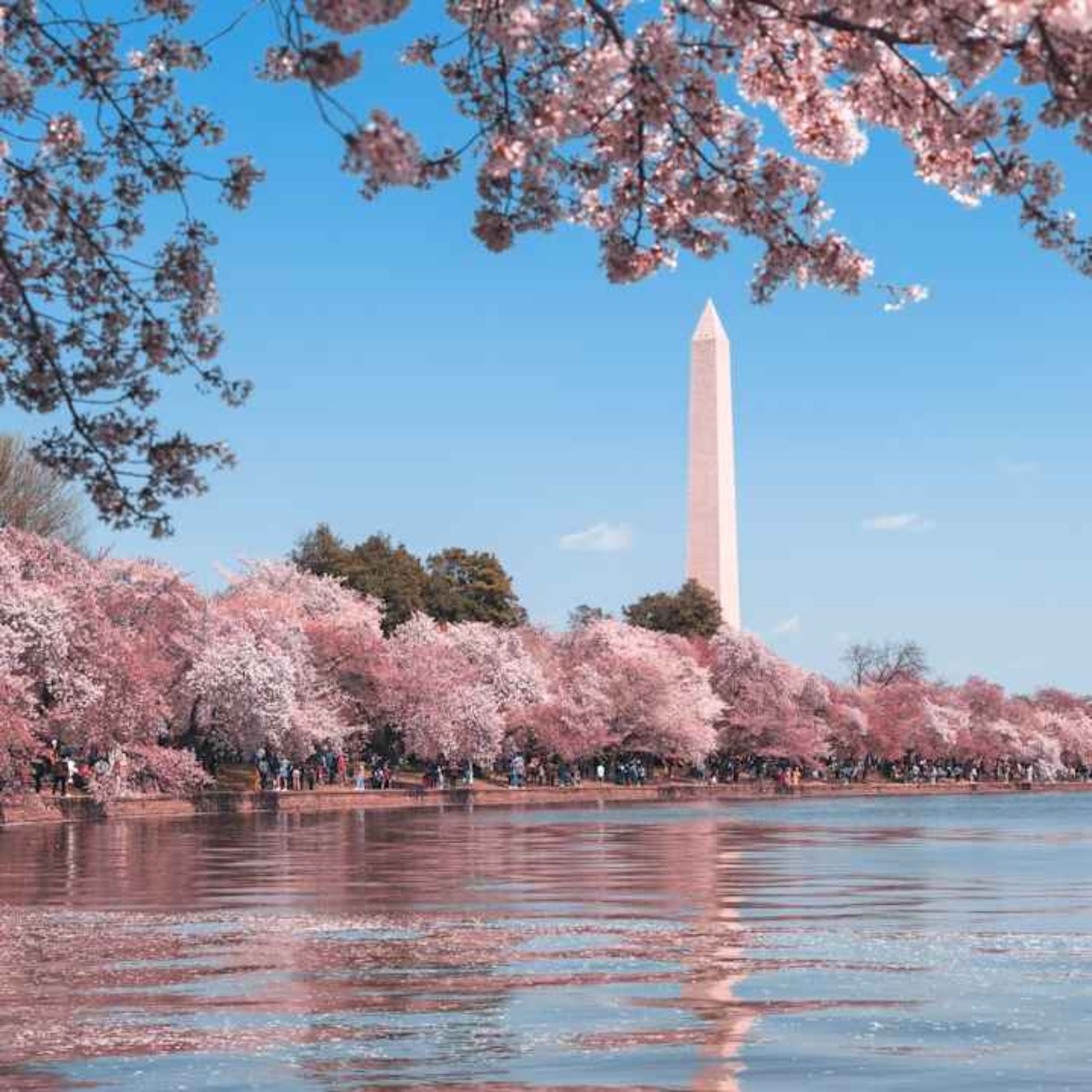 The 200-Year Fight Over Washington's Monuments episode artwork