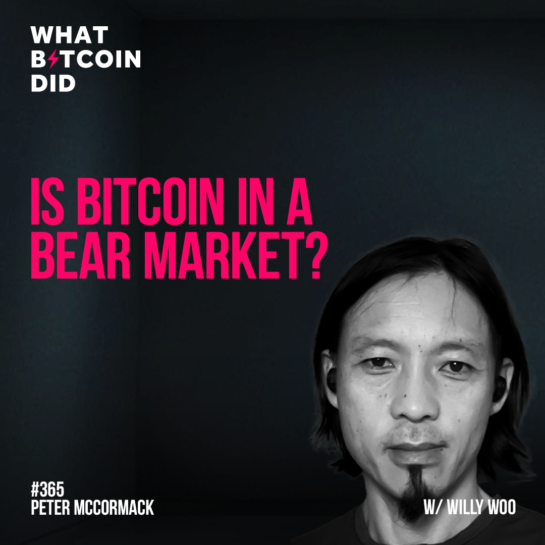Is Bitcoin in a Bear Market? with Willy Woo - WBD365