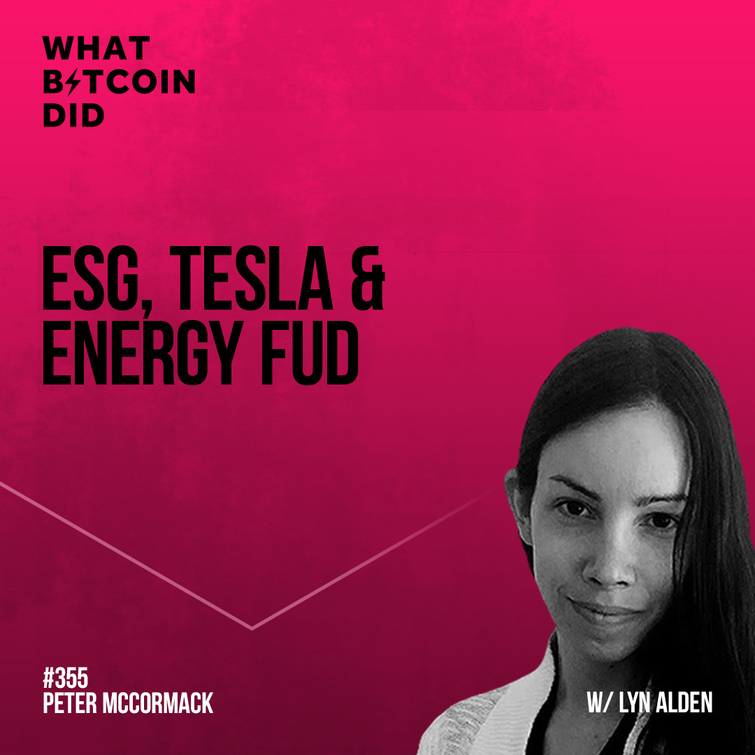 ESG, Tesla and Energy FUD with Lyn Alden - WBD355