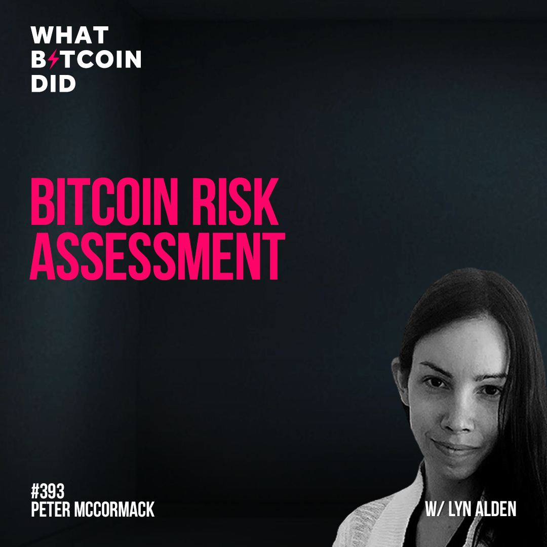 Bitcoin Risk Assessment with Lyn Alden - WBD393