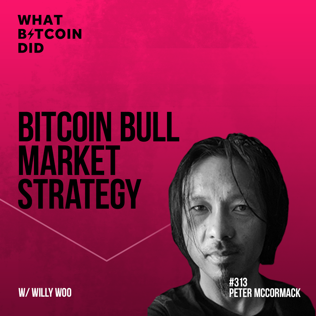 Bitcoin Bull Market Strategy - Feb '21 Trading Update with Willy Woo - WBD313