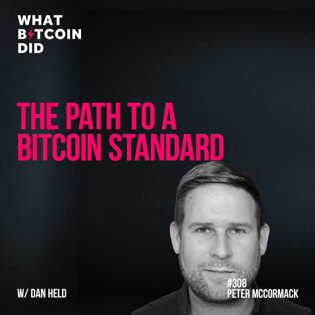 The Path to a Bitcoin Standard with Dan Held - WBD308