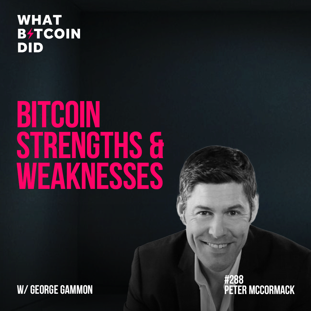 Bitcoin Strengths & Weaknesses with George Gammon - WBD288