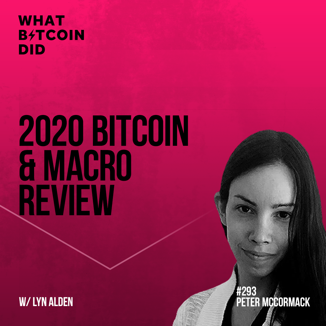 2020 Bitcoin & Macro Review with Lyn Alden - WBD293