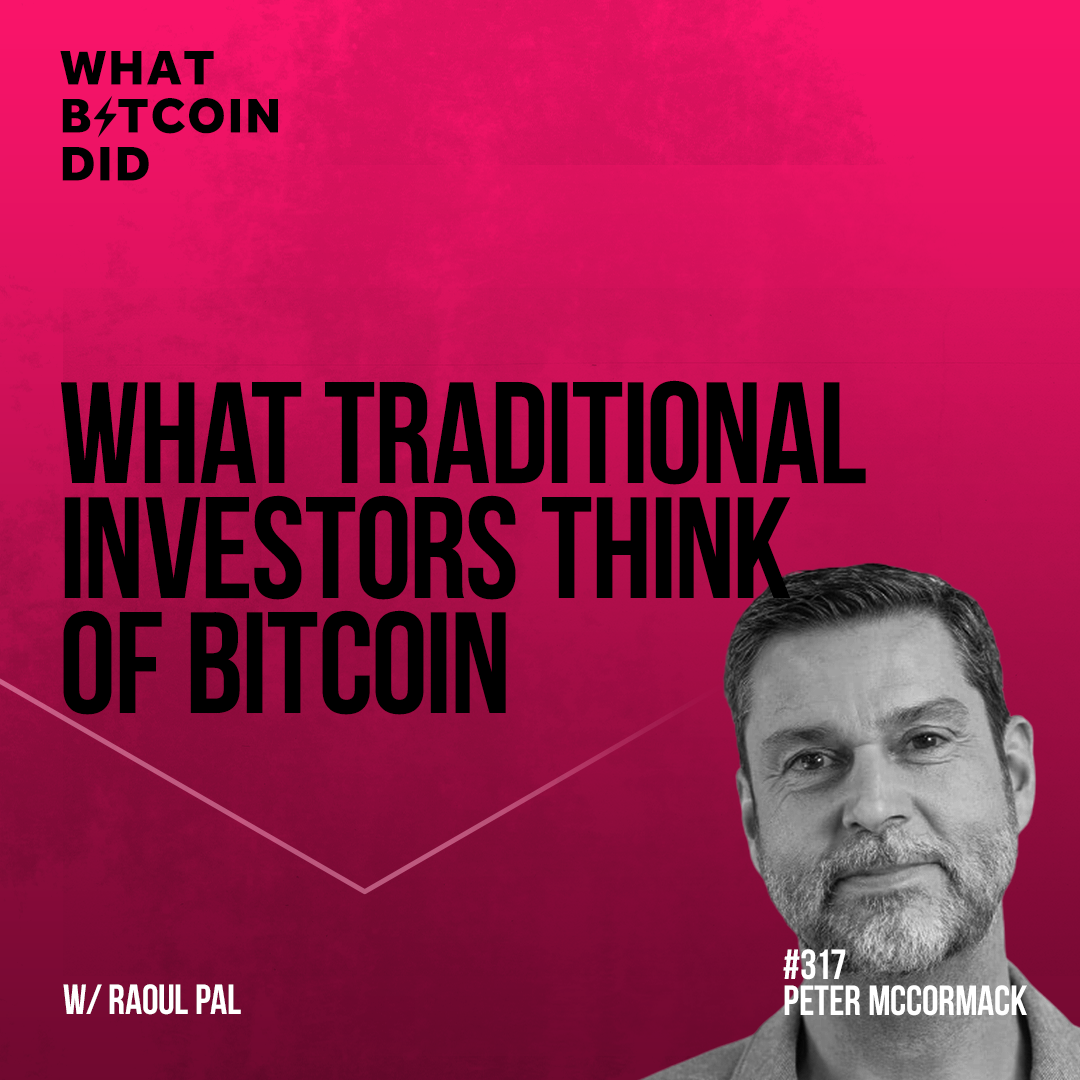 What Traditional Investors Think of Bitcoin with Raoul Pal - WBD317