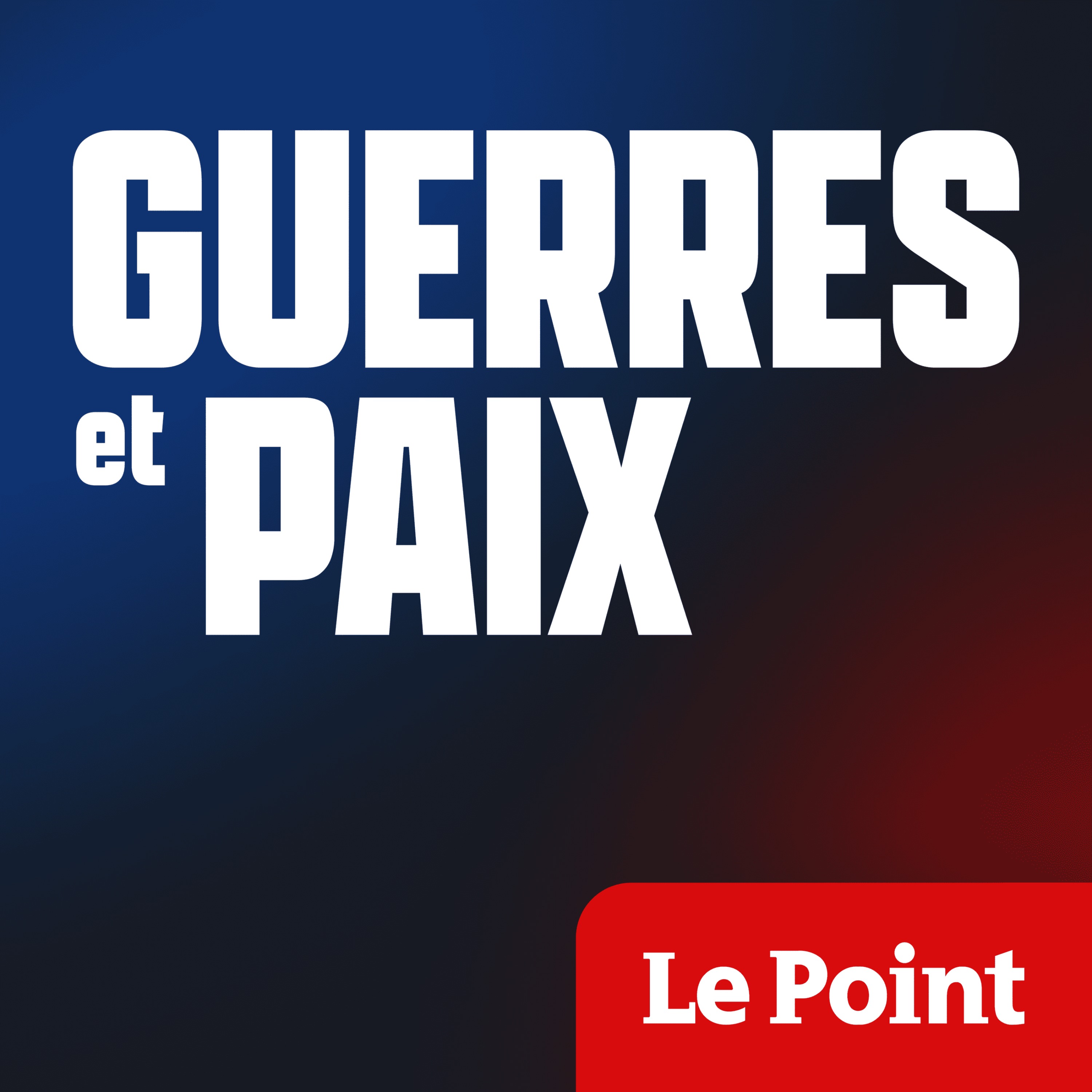« L'intelligence artificielle est devenue le nerf de la guerre »