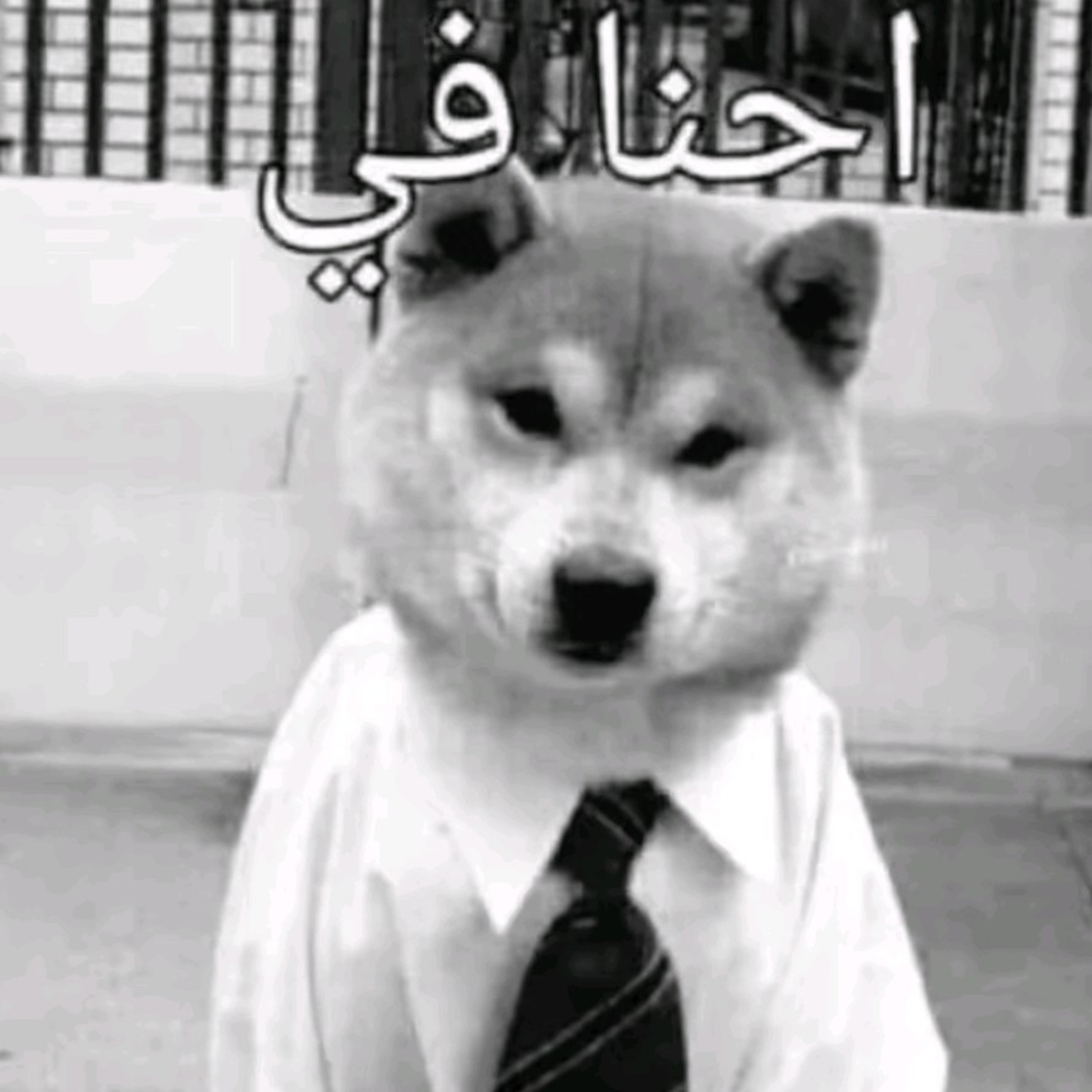 لا وقت ل الانهيار episode artwork