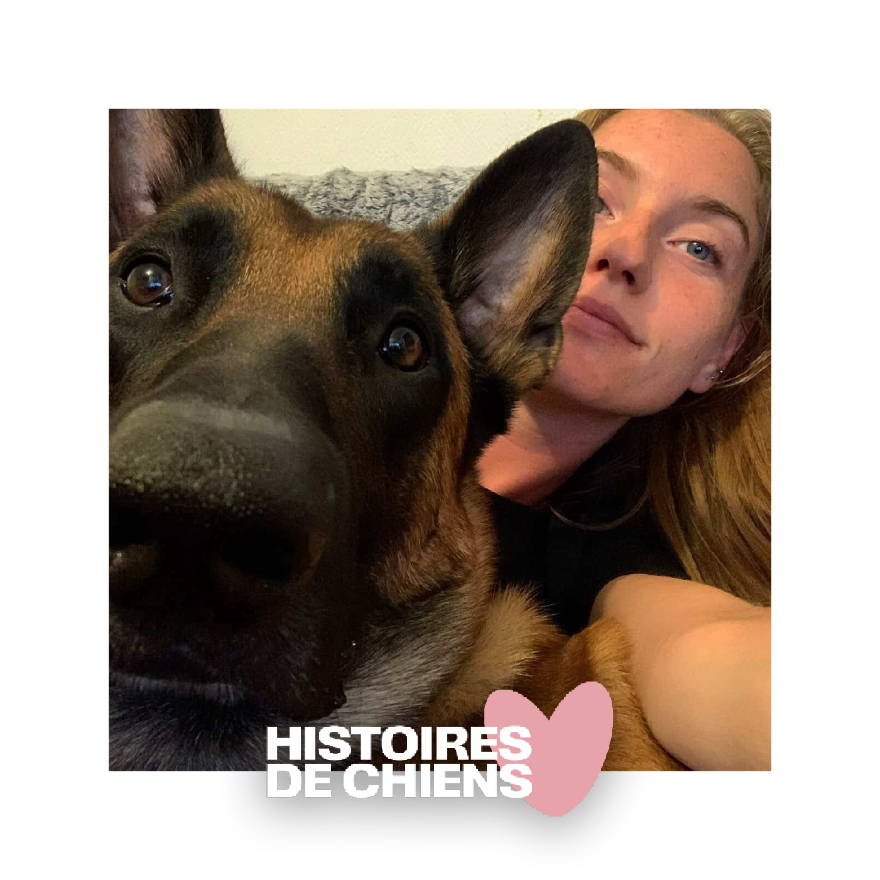 #02 - Cassandra - Quand le chien devient le miroir de nos peurs episode artwork