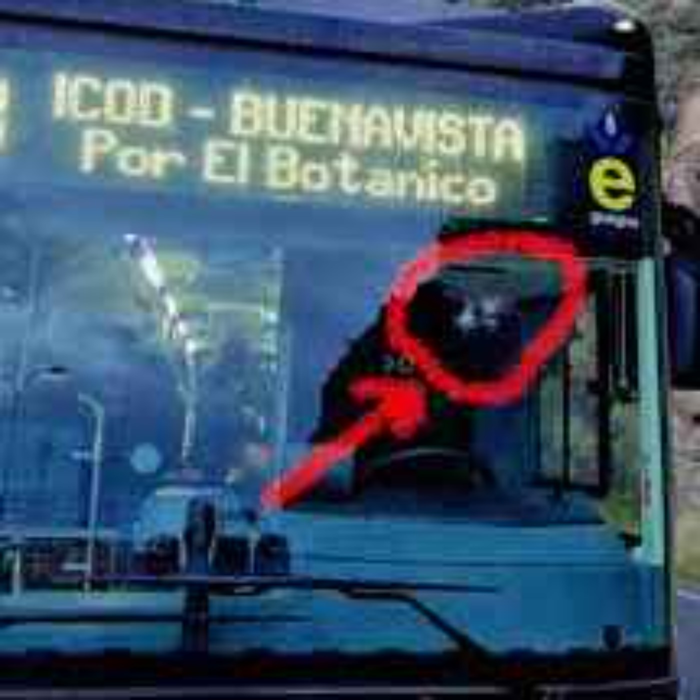 Portada de Recetas el Palmero