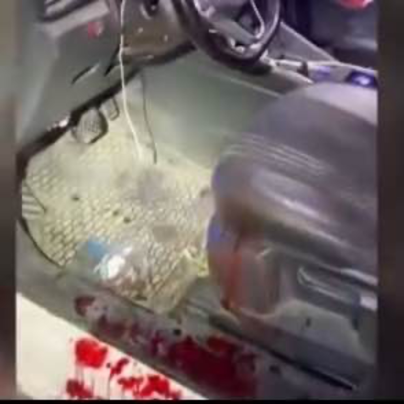 Portada de Recetas el Palmero
