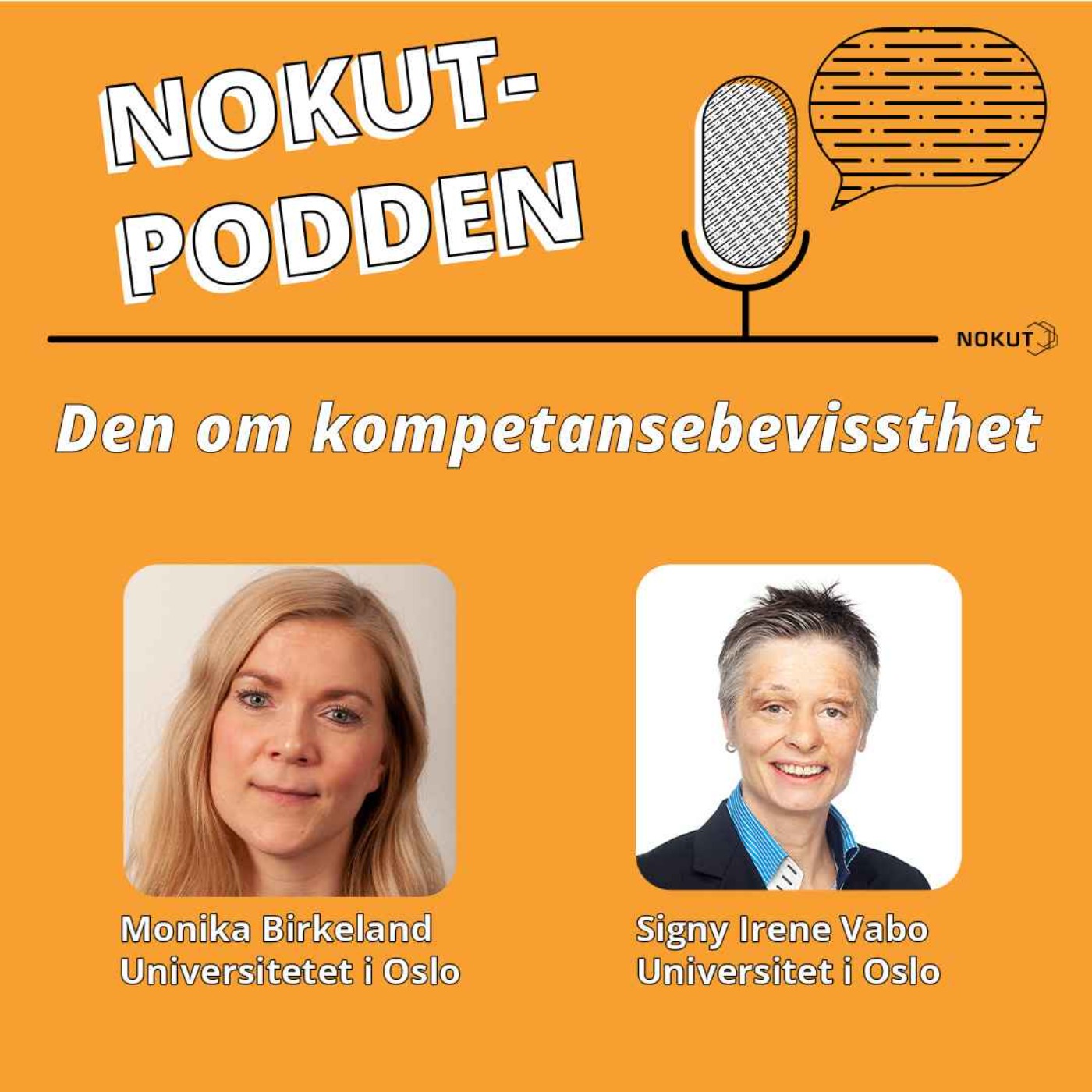 Den om kompetansebevissthet episode artwork