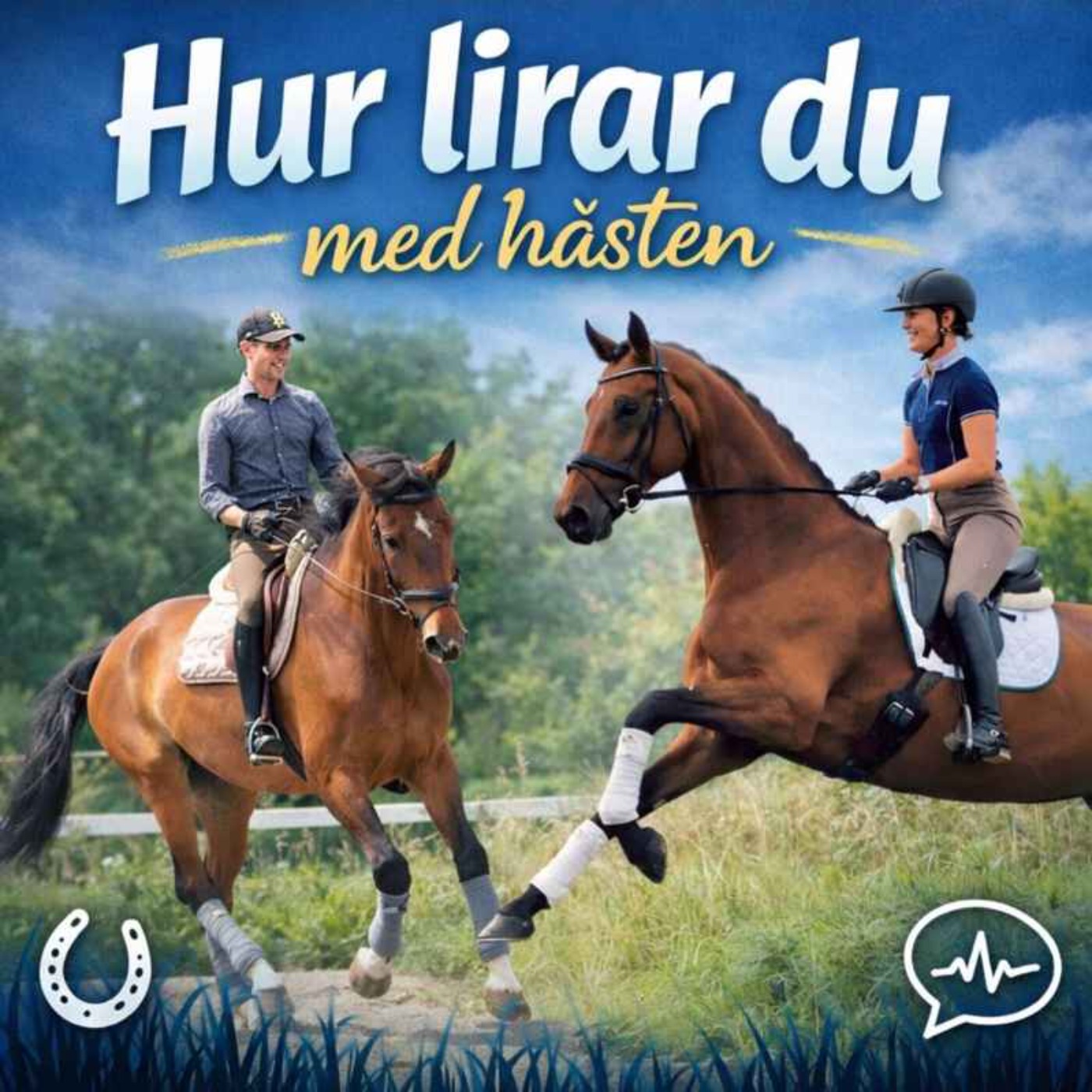 Dressyrbedömning. Hur tänker domaren? episode artwork