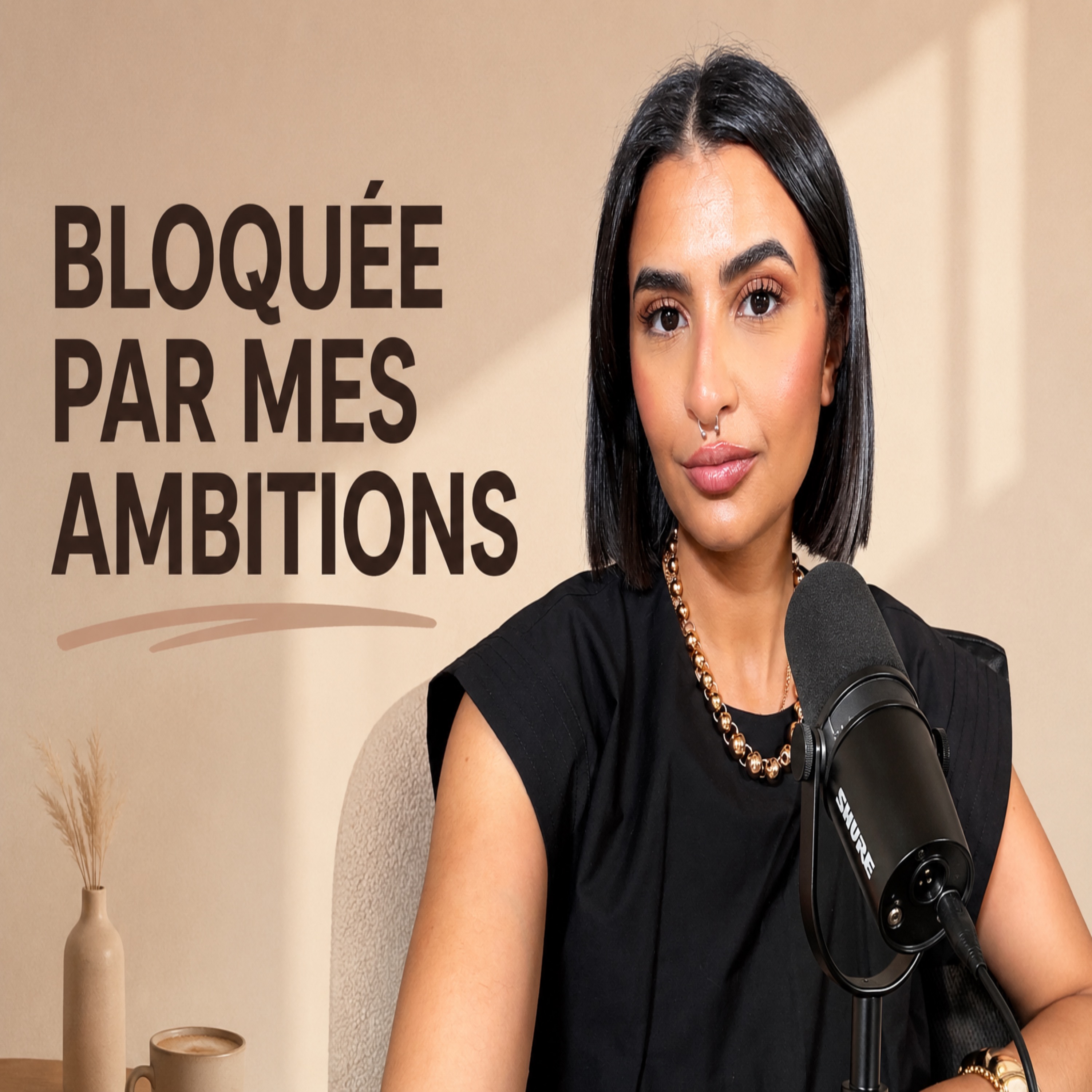 Tu veux tout faire... donc tu ne fais rien du tout ! episode artwork