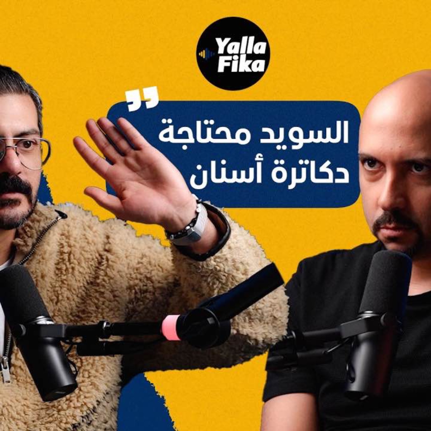 هل يتقبل المريض السويدي الطبيب المصري أو العربي؟ episode artwork