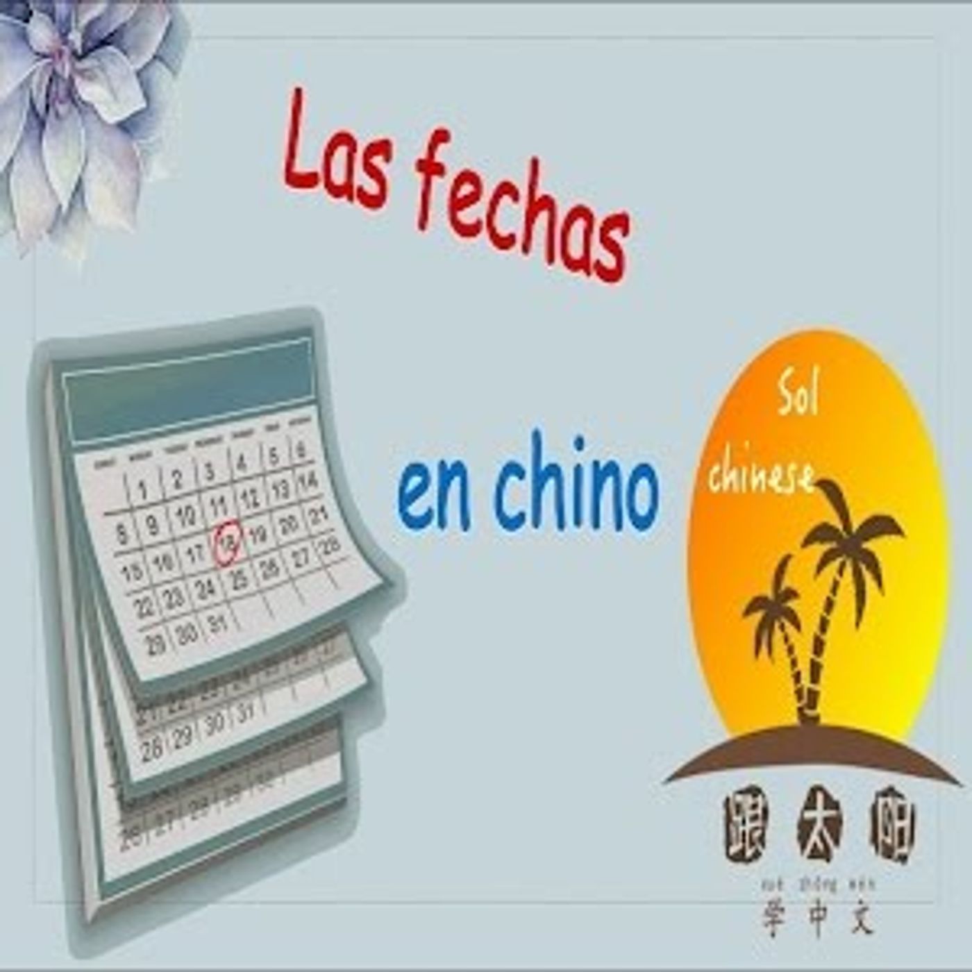 10. Aprender chino mandarín lección 8 ➡️ las FECHAS, Fiesta del bote dragón 🐲