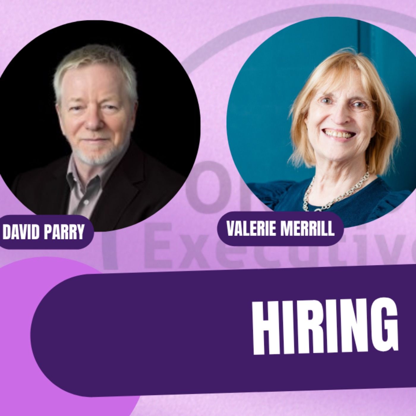 Portfolio Executive Podcast Episode 6: Hiring episode artwork