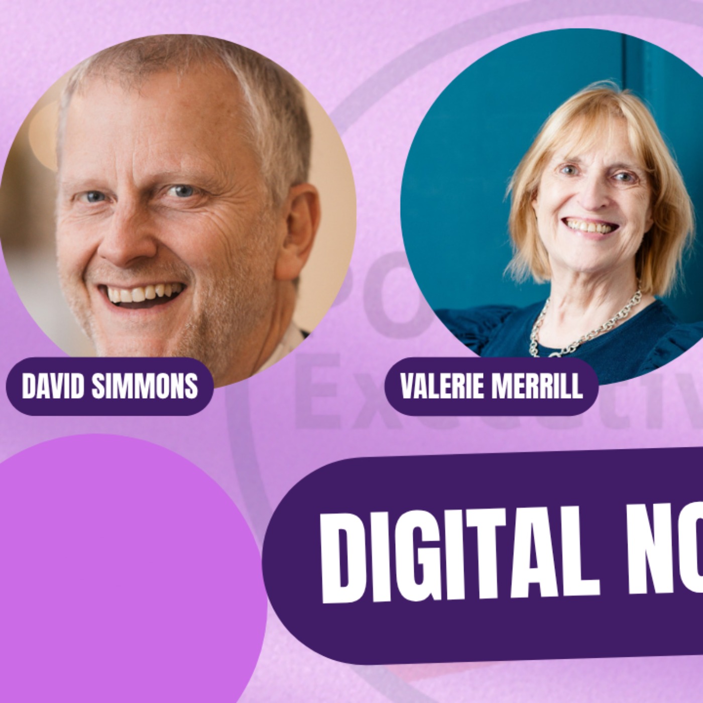 Portfolio Executive Podcast Episode 1: Digital Nomad episode artwork