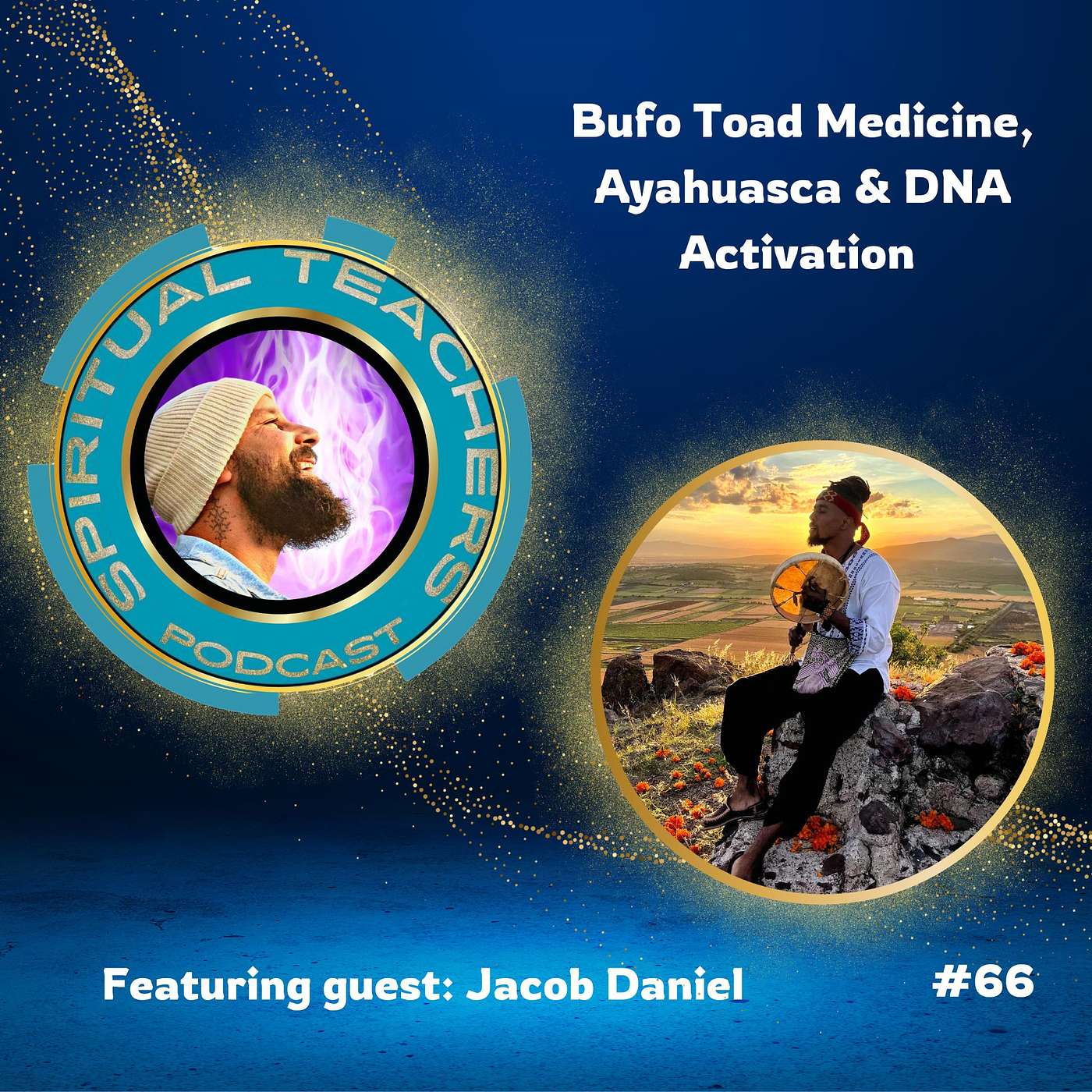 Bufo Toad Medicine, Ayahuasca & DNA Activation - STP 66 episode artwork