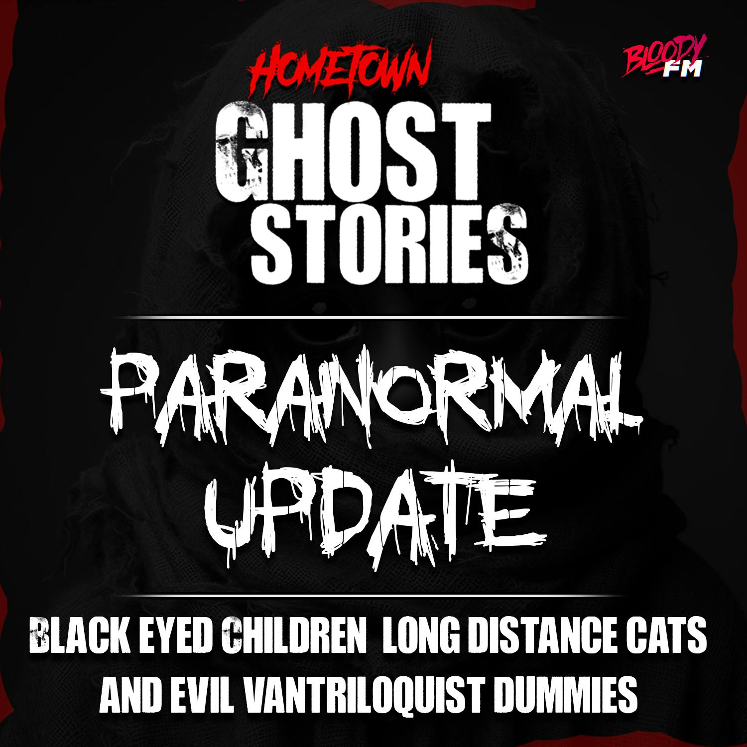 Paranormal Update:  Black Eyed Children, Long Distance Cats and Evil Ventriloquist Dummies