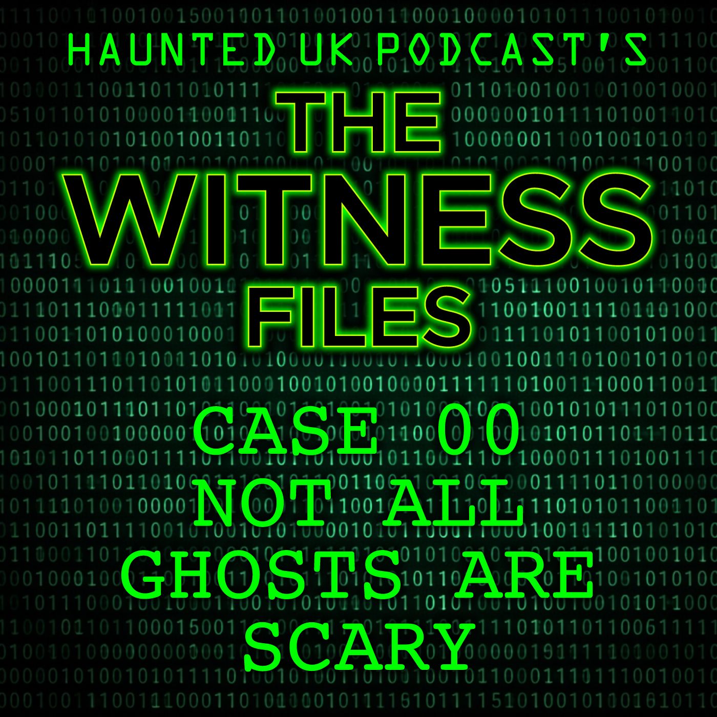 The Witness Files - Case 00 - Not All Ghosts Are Scary