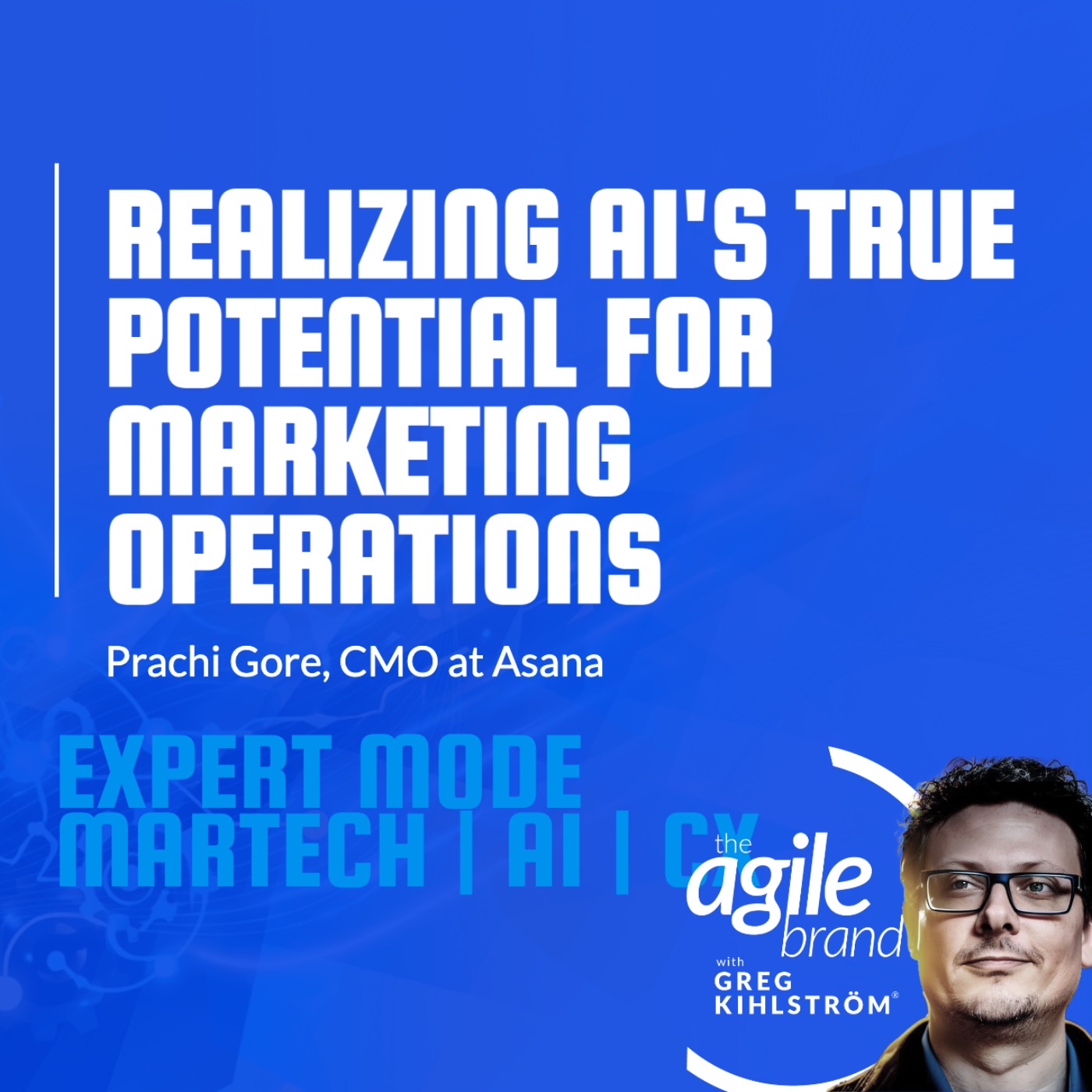 The Agile Brand with Greg Kihlström®: Expert Mode Marketing Technology, AI, & CX