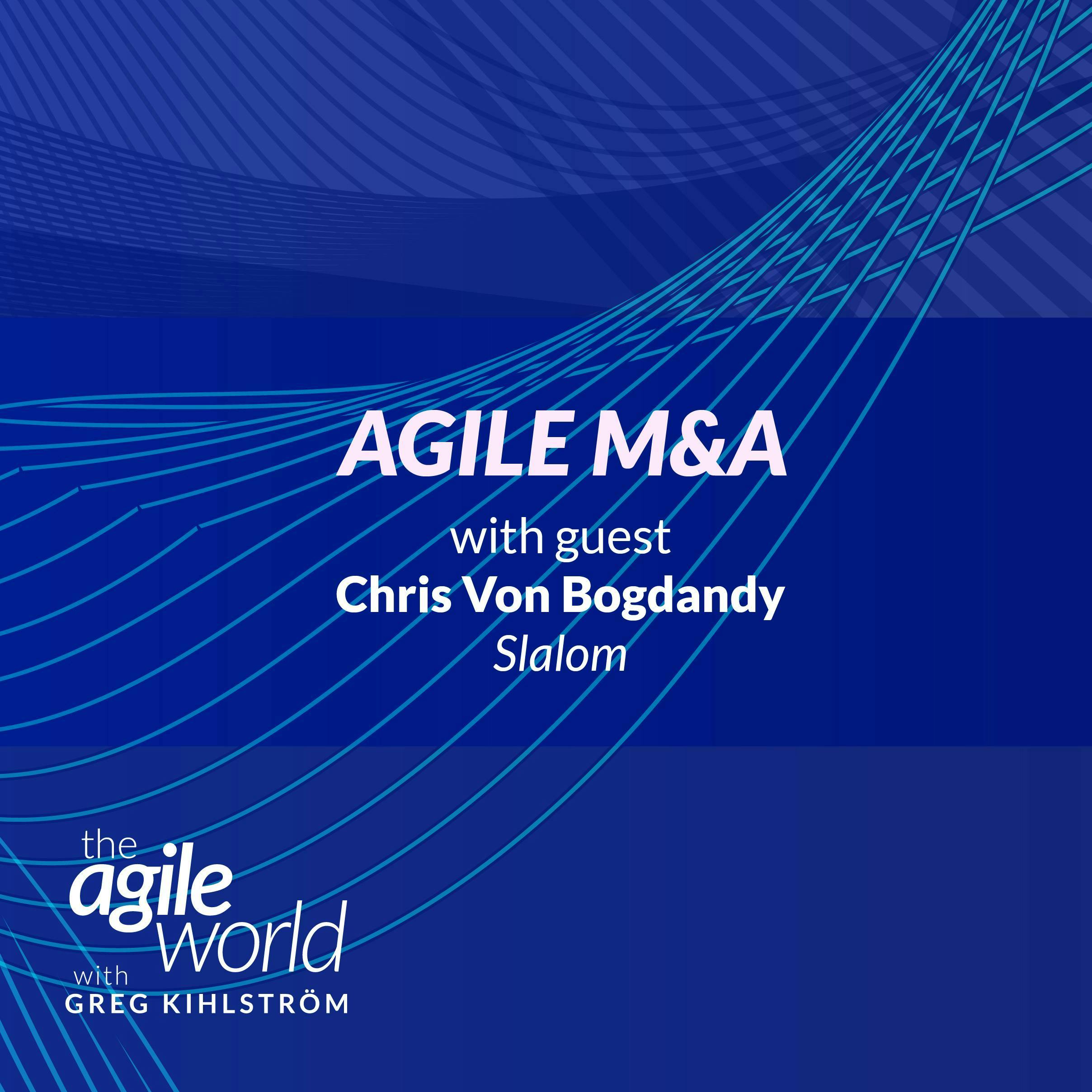 #166: Agile M&A with Chris Von Bogdandy, Slalom