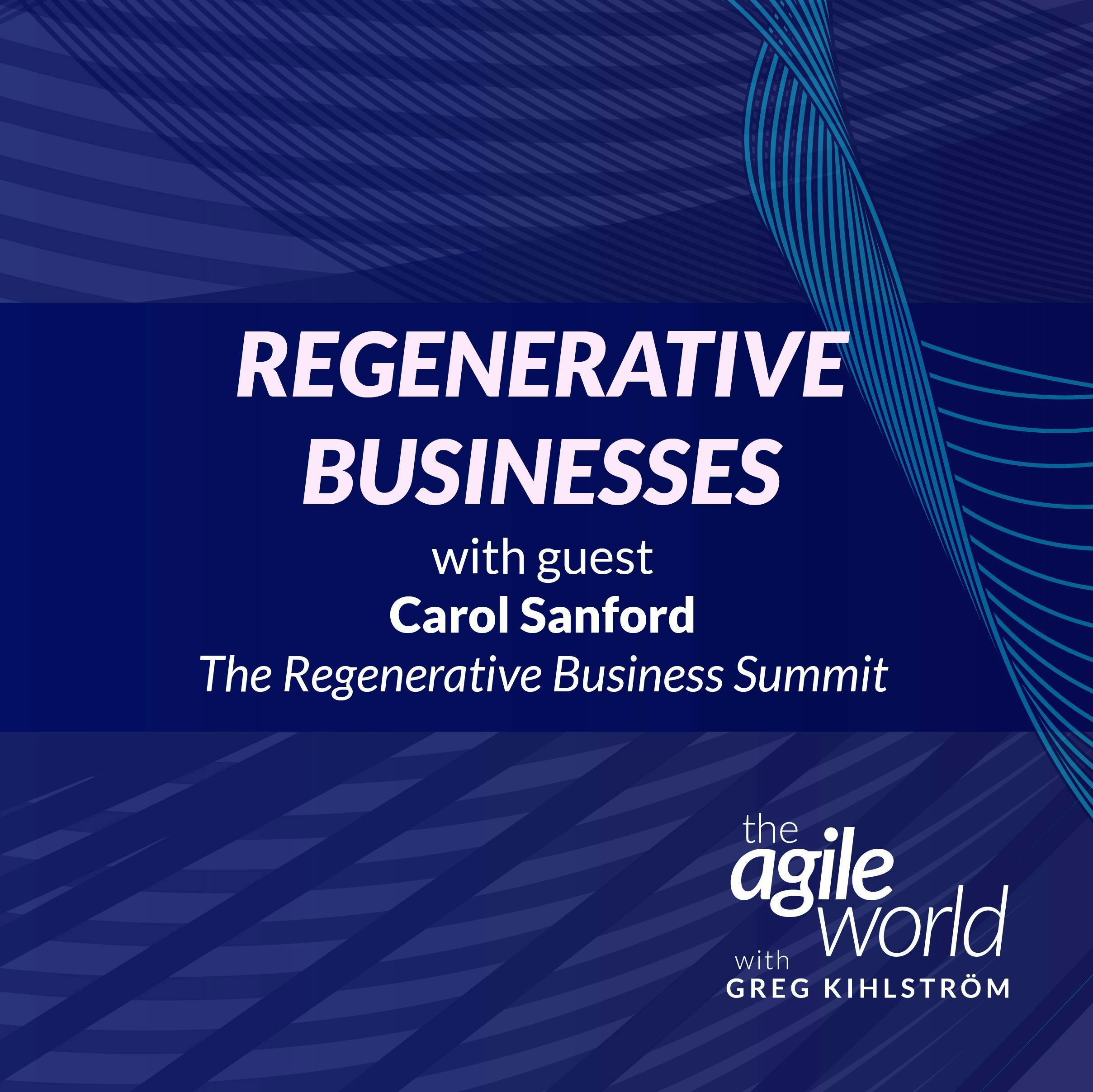 #168: Regenerative Businesses with Carol Sanford