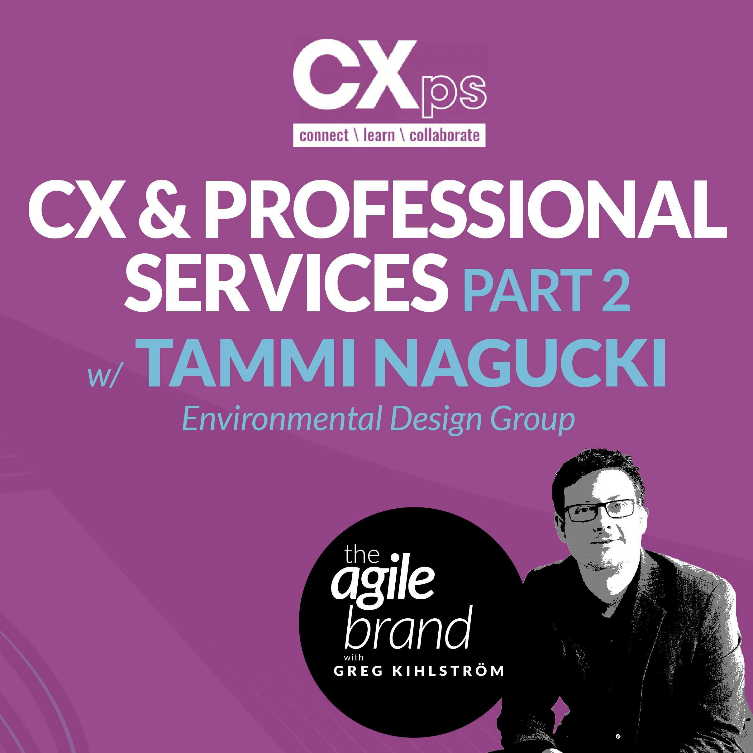 #378: CX and Professional Services, Part 2 with Tammi Nagucki, Environmental Design Group