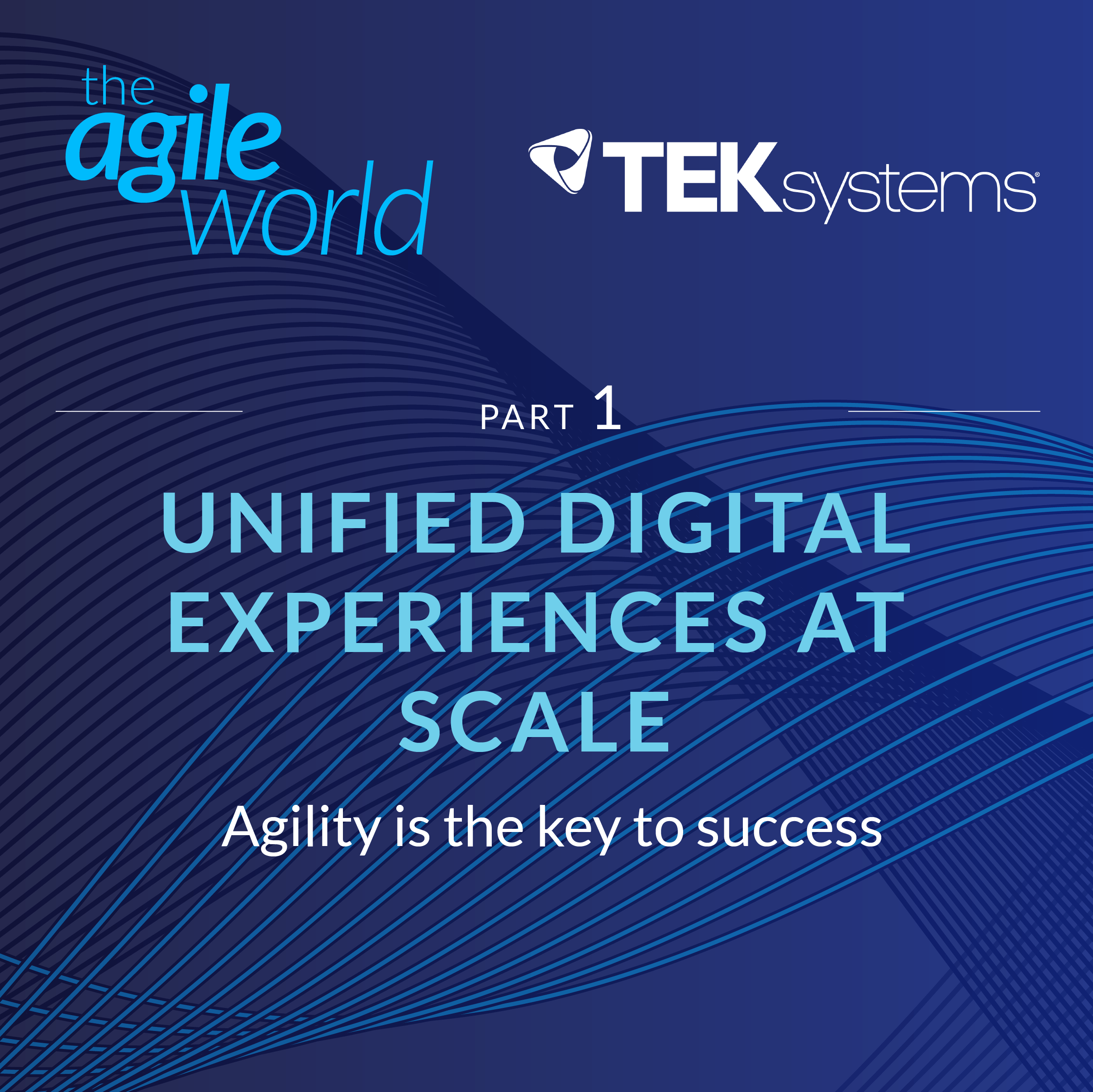 #128: Unified Digital Experiences at Scale, Part 1, with Kalev Peekna, One North