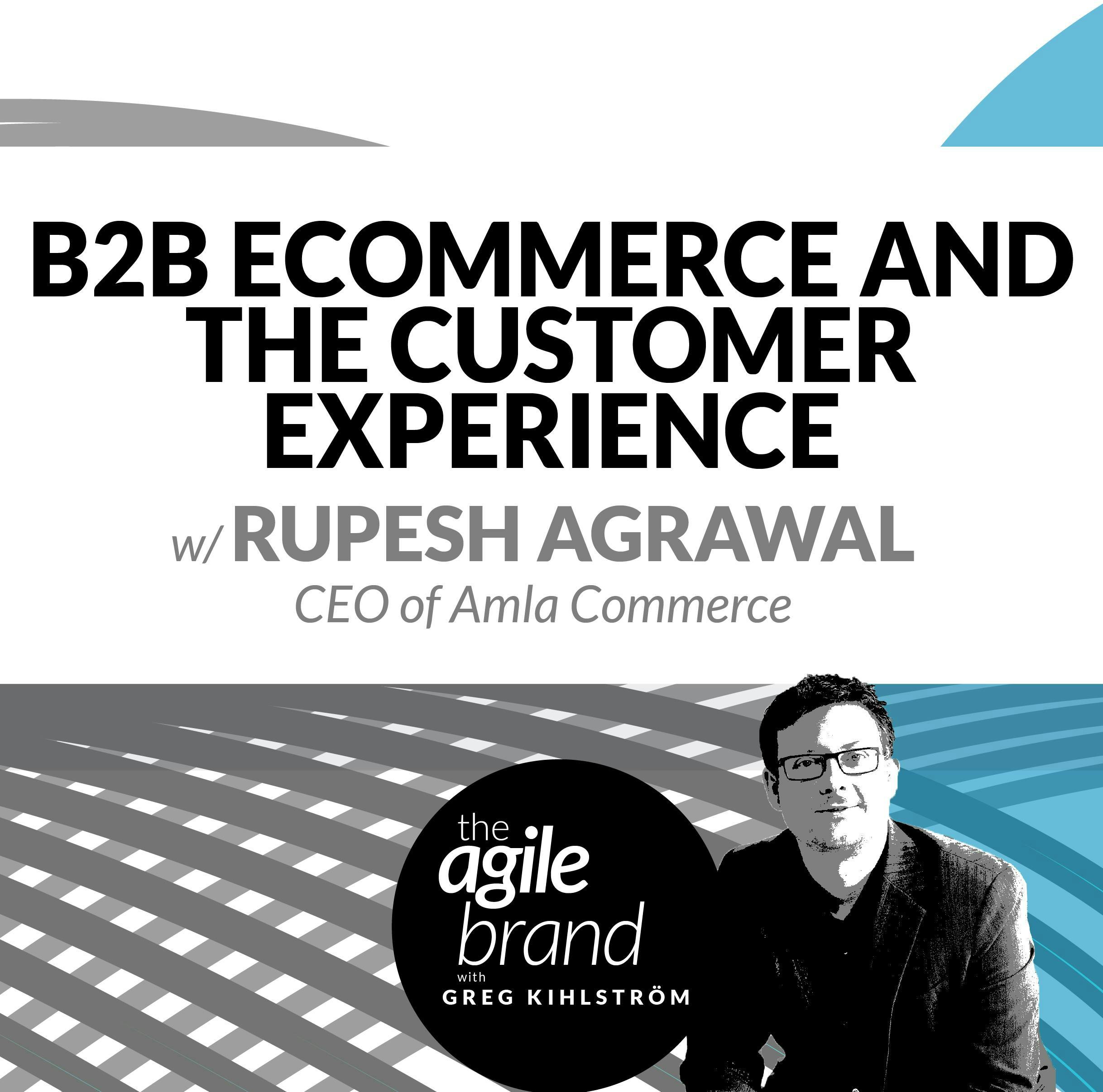 #311: B2B Ecommerce and the Customer Experience with Rupesh Agrawal, CEO of Amla Commerce