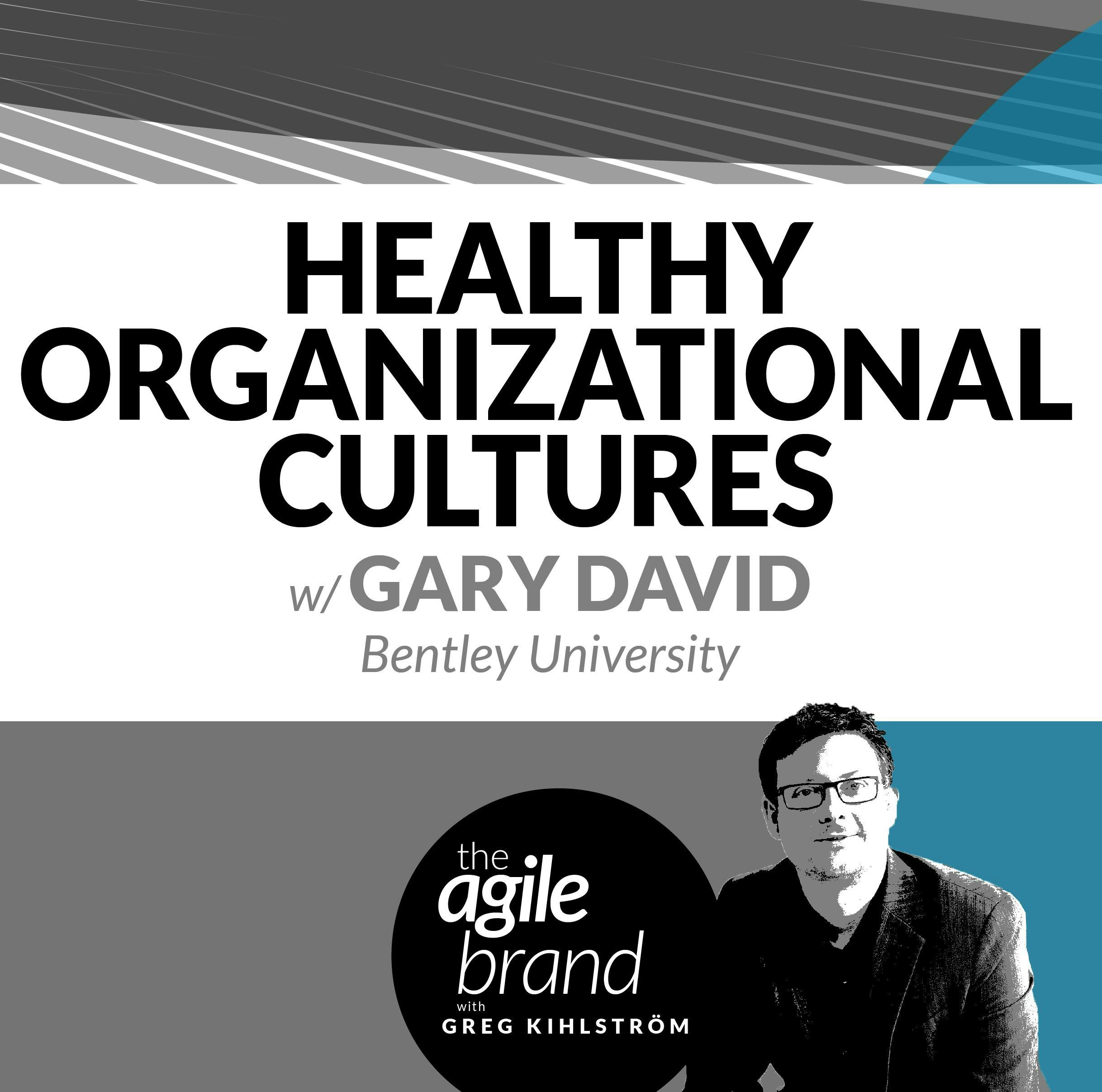 #258: Healthy Organizational Cultures with Gary David, Bentley University