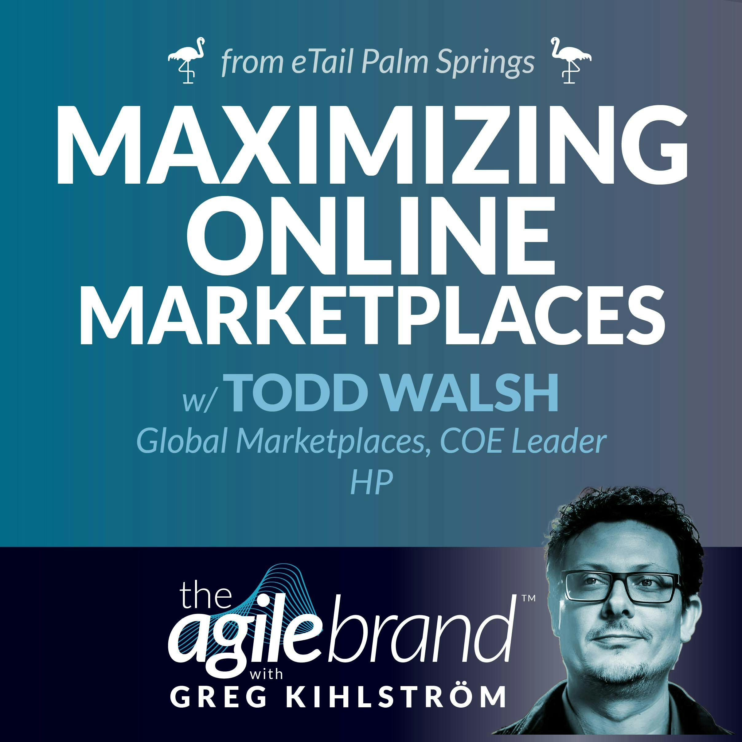 #494: Maximizing online marketplaces with Todd Walsh, HP