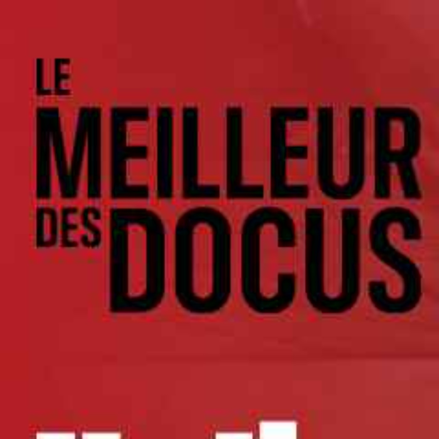 Huiles essentielles : Le secret millénaire devenu business