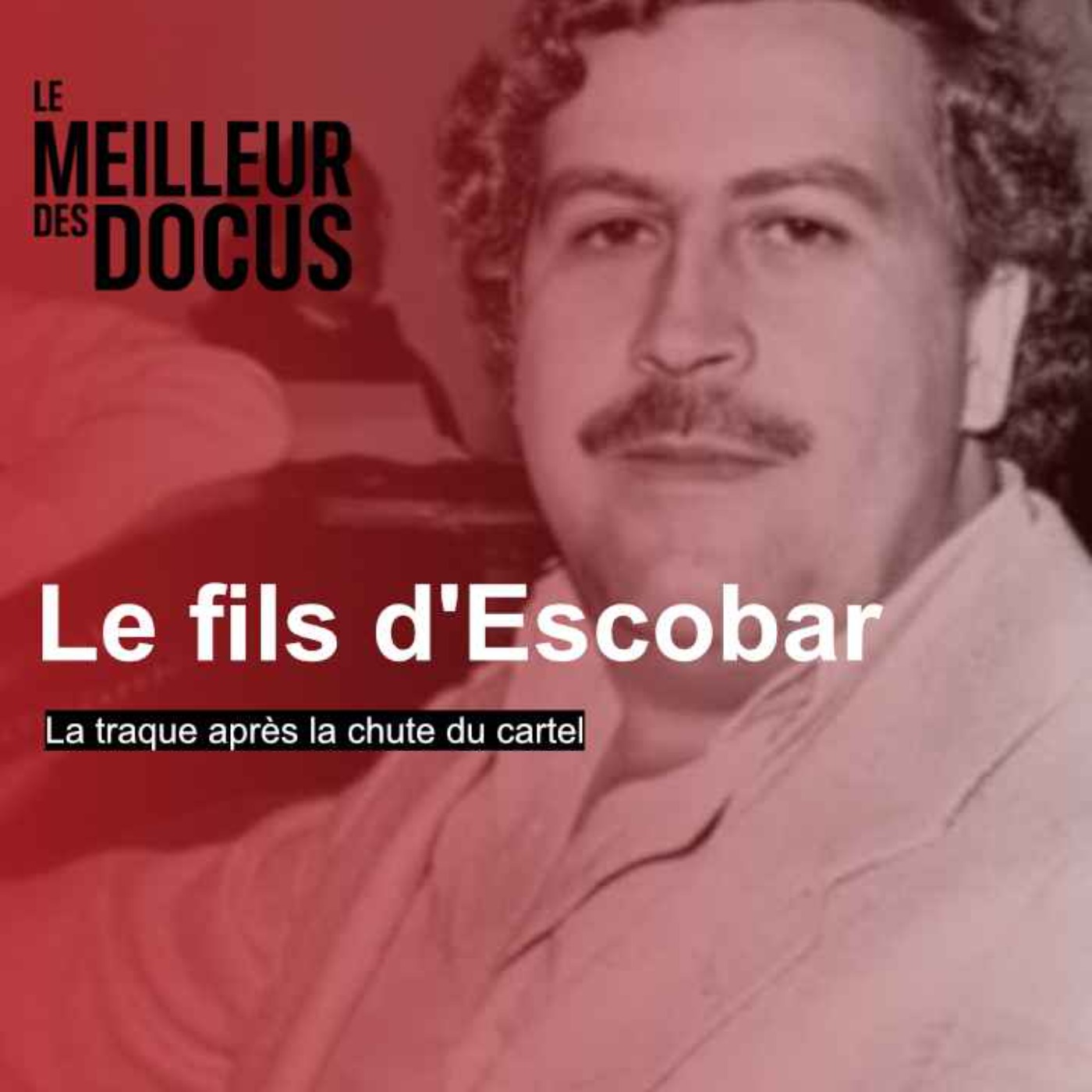 Le fils de Pablo Escobar : La traque après la chute du cartel (1/2)