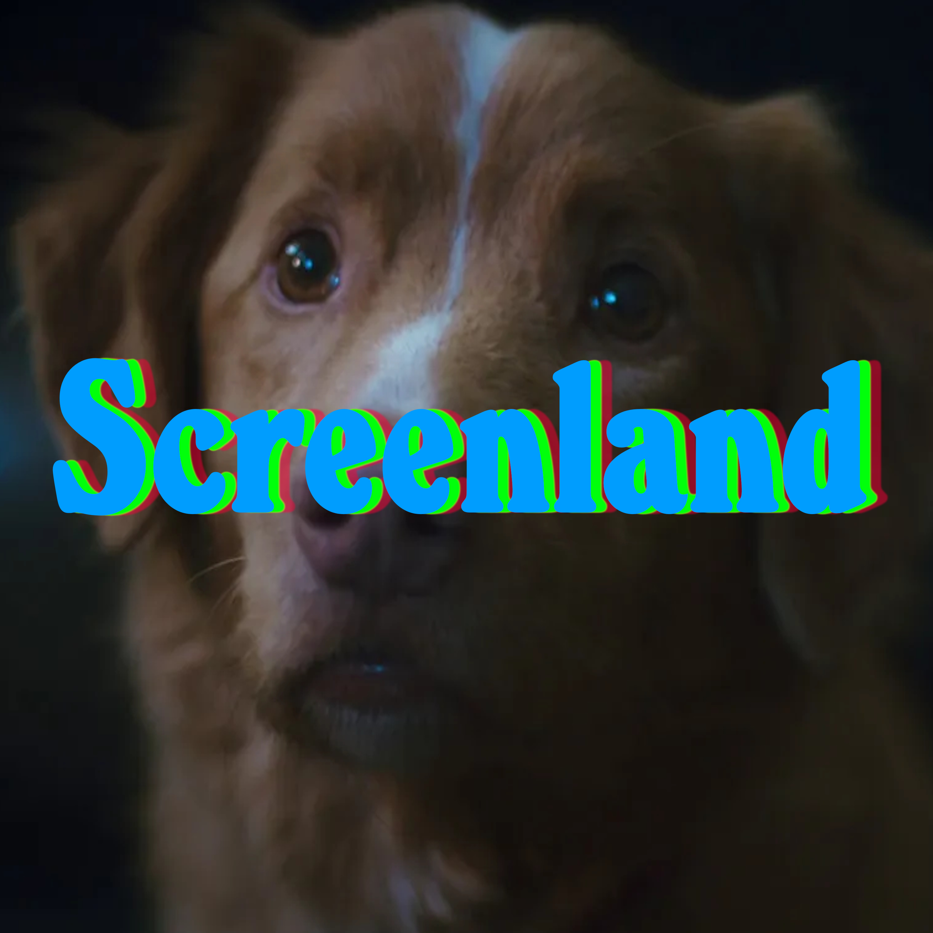 'Good Boy', 'TRON: Ares', 'I Swear', and 'A House of Dynamite' episode artwork