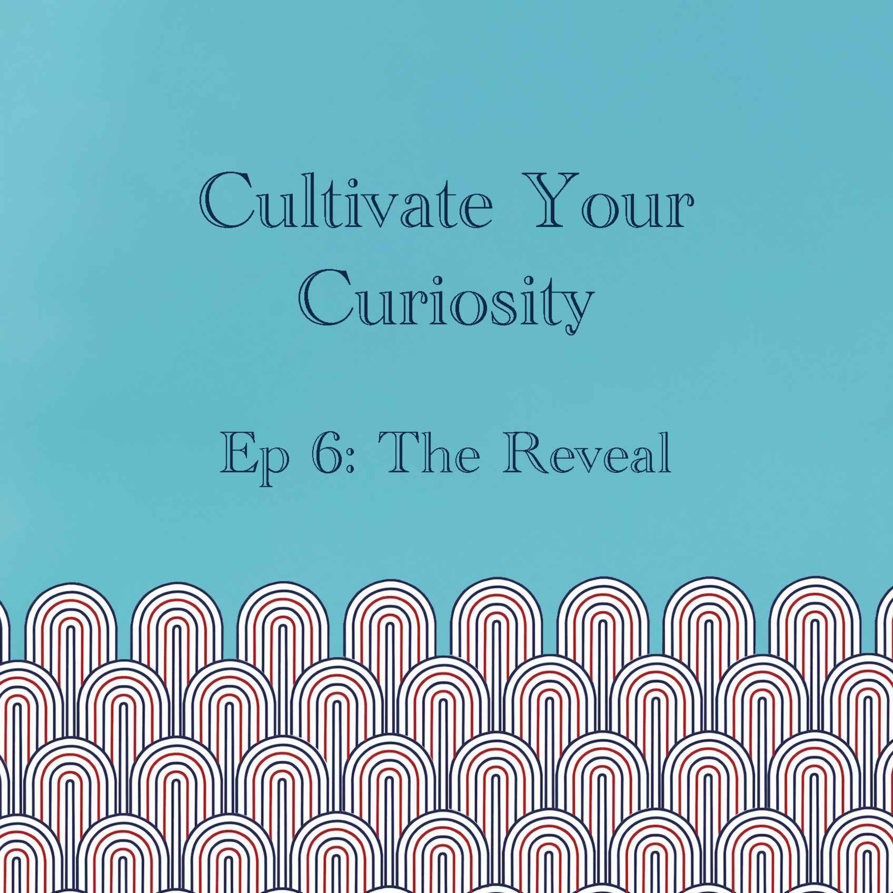 Cultivate Your Curiosity Pt. 2 episode artwork
