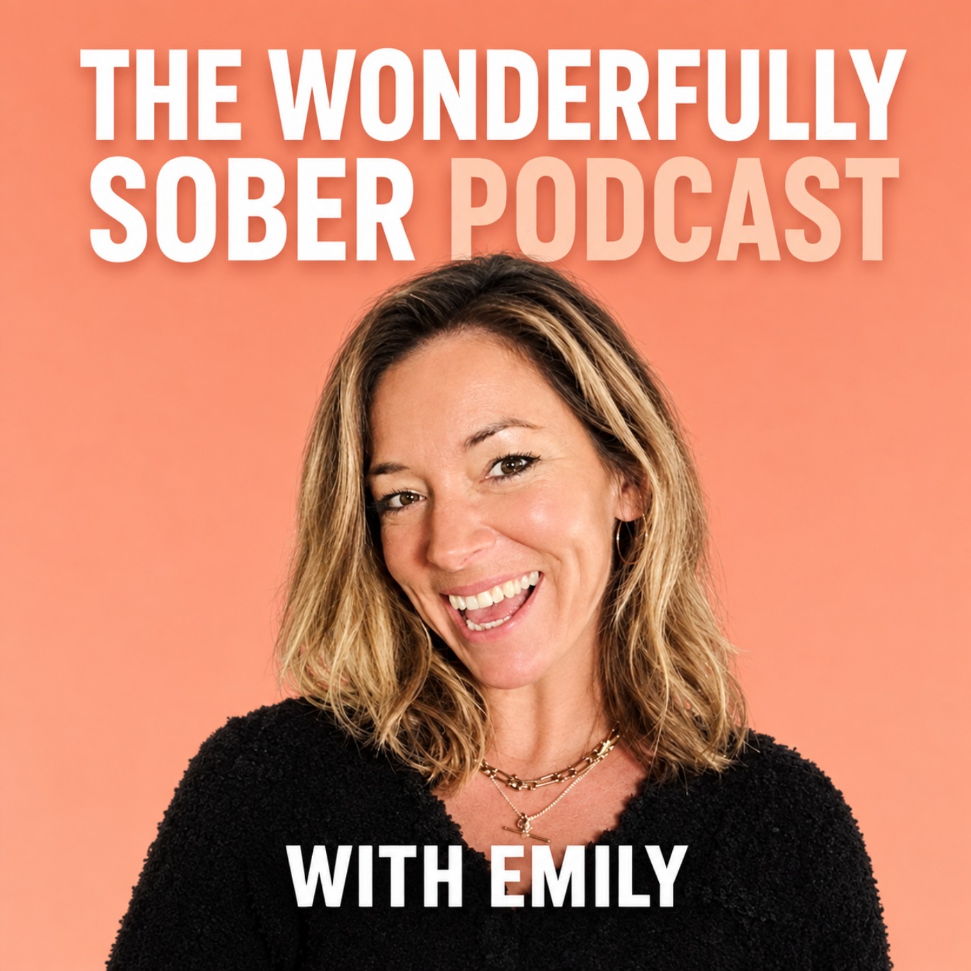 Wonderfully Sober With Emily episode artwork